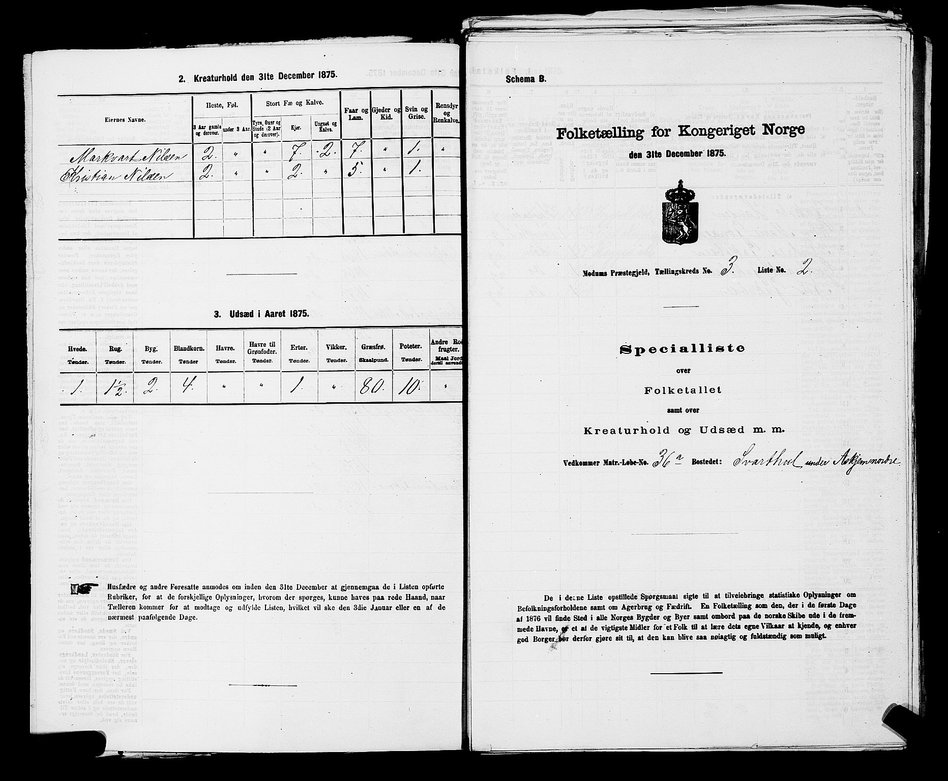 SAKO, 1875 census for 0623P Modum, 1875, p. 312