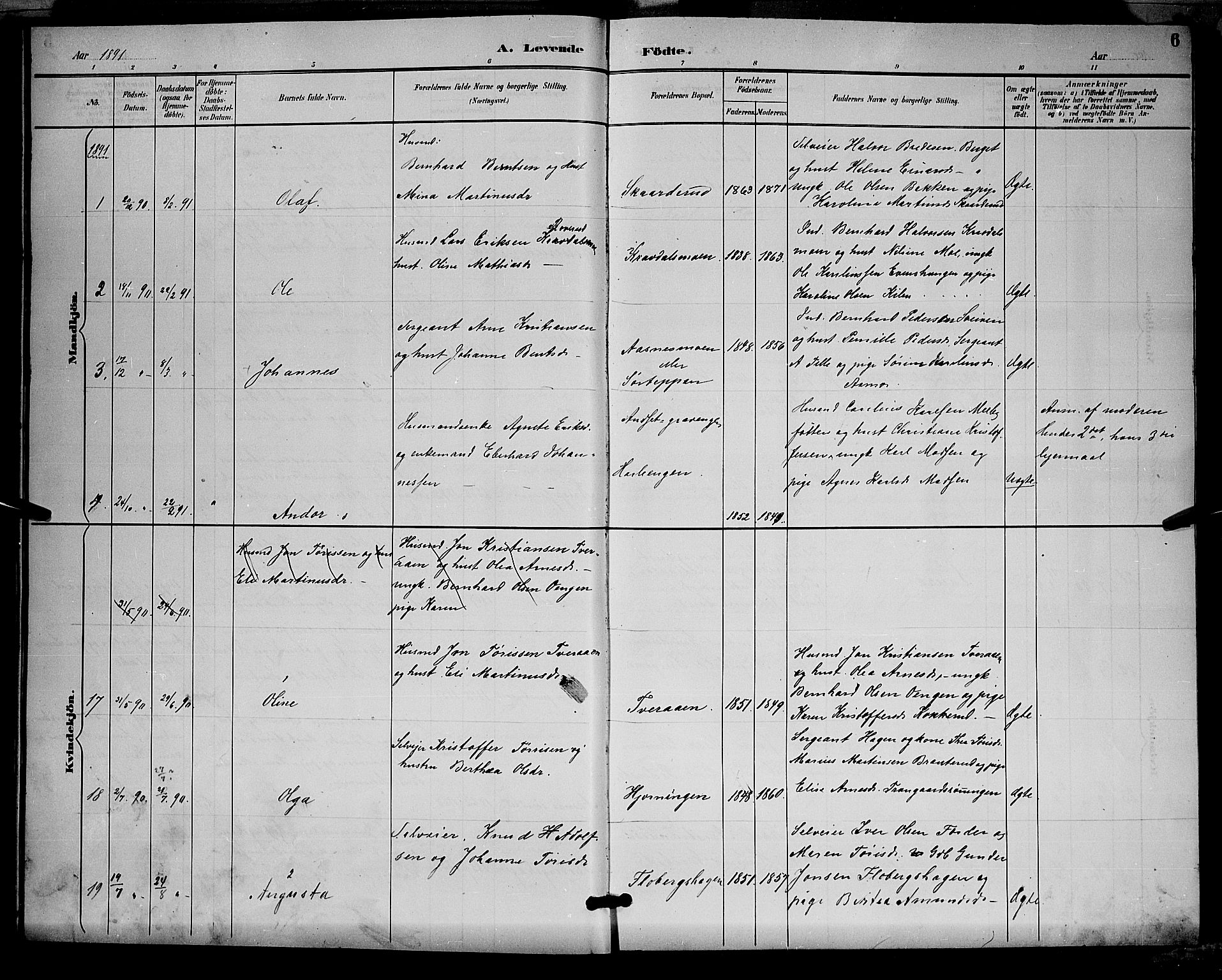 Åsnes prestekontor, SAH/PREST-042/H/Ha/Hab/L0001: Parish register (copy) no. 1, 1890-1891, p. 6