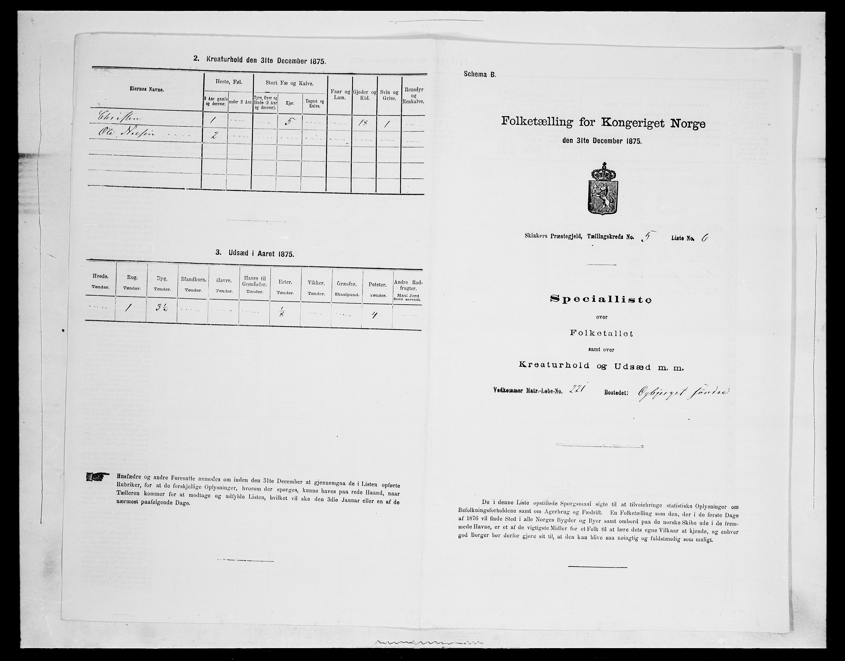 SAH, 1875 census for 0513P Skjåk, 1875, p. 725