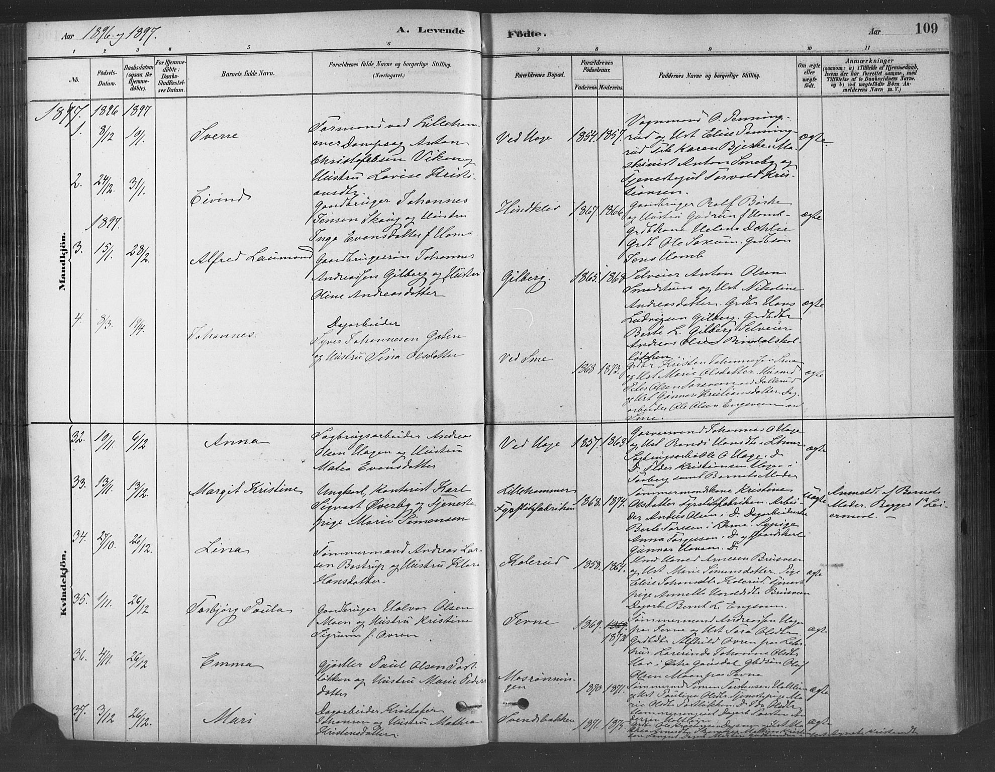 Fåberg prestekontor, SAH/PREST-086/H/Ha/Haa/L0009: Parish register (official) no. 9, 1879-1898, p. 109