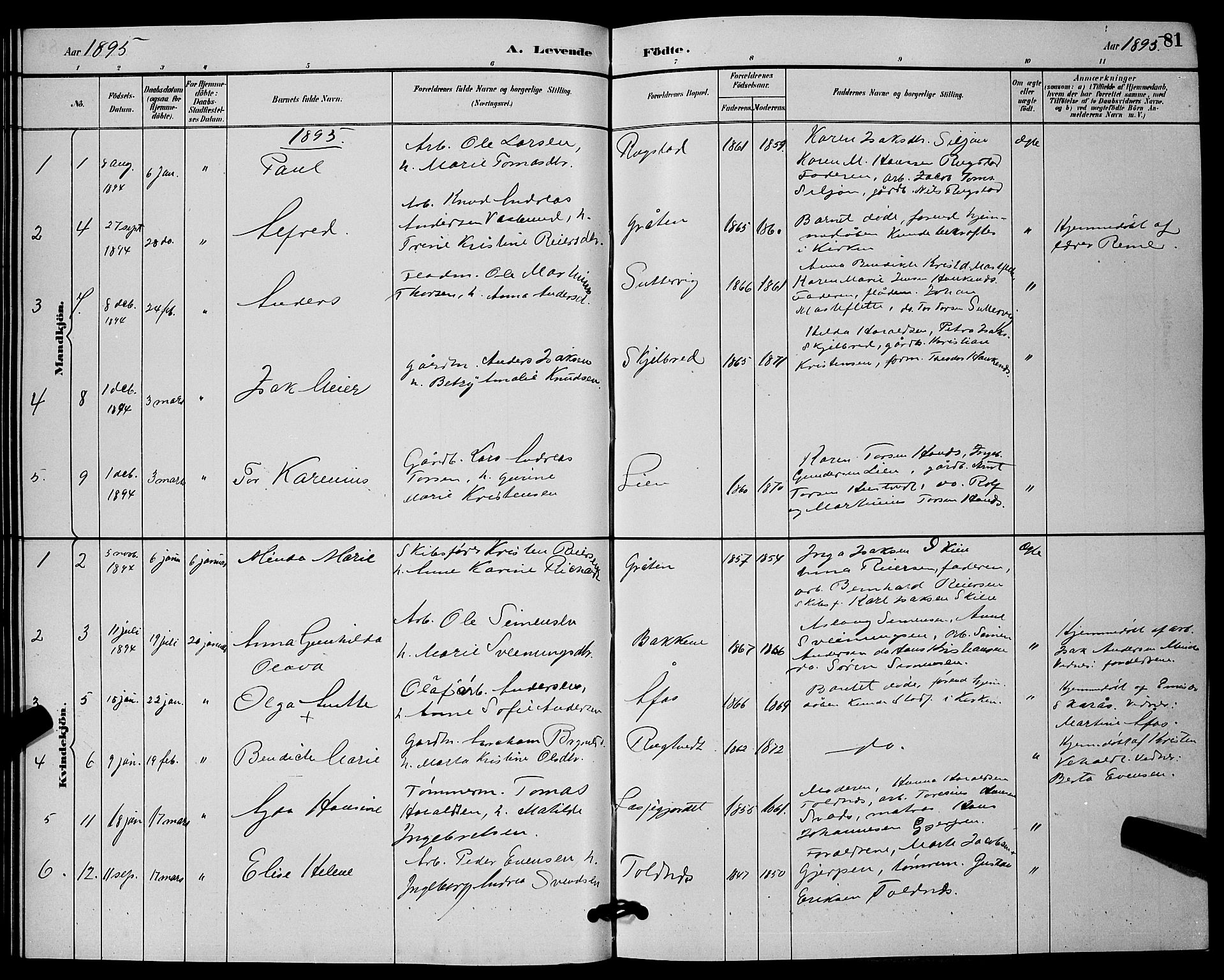 Solum kirkebøker, SAKO/A-306/G/Ga/L0007: Parish register (copy) no. I 7, 1884-1898, p. 81
