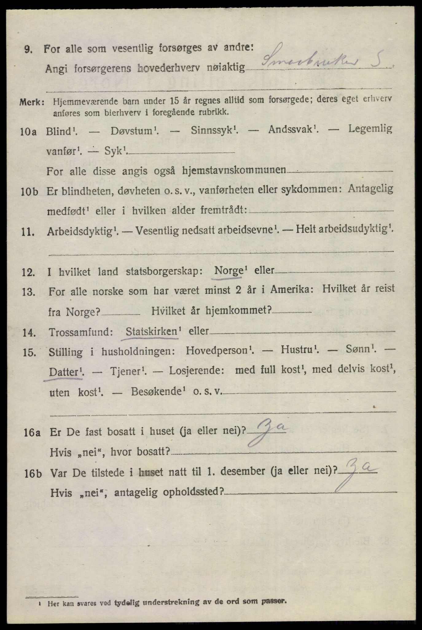 SAKO, 1920 census for Hol (Buskerud), 1920, p. 2798