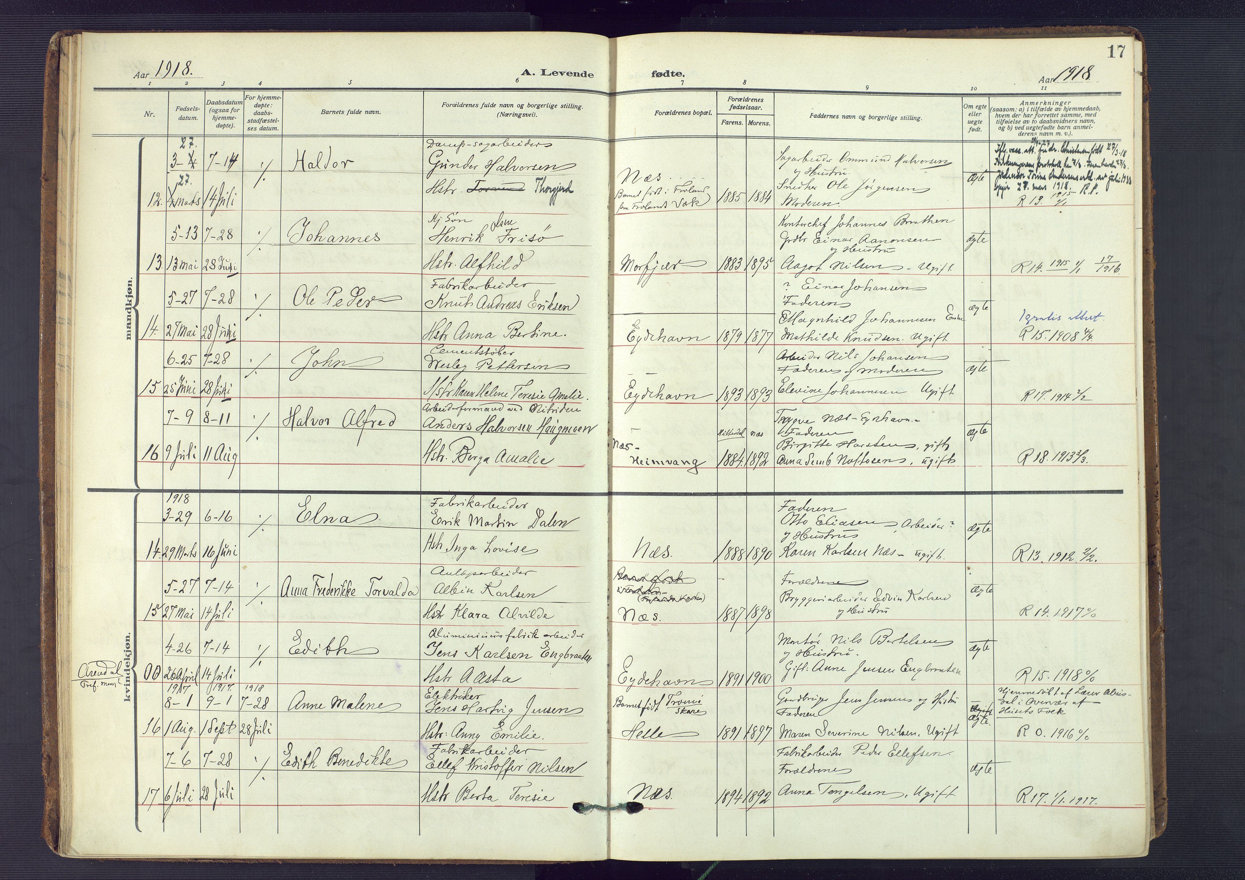 Austre Moland sokneprestkontor, AV/SAK-1111-0001/F/Fa/Fab/L0003: Parish register (official) no. A 3, 1914-1927, p. 17