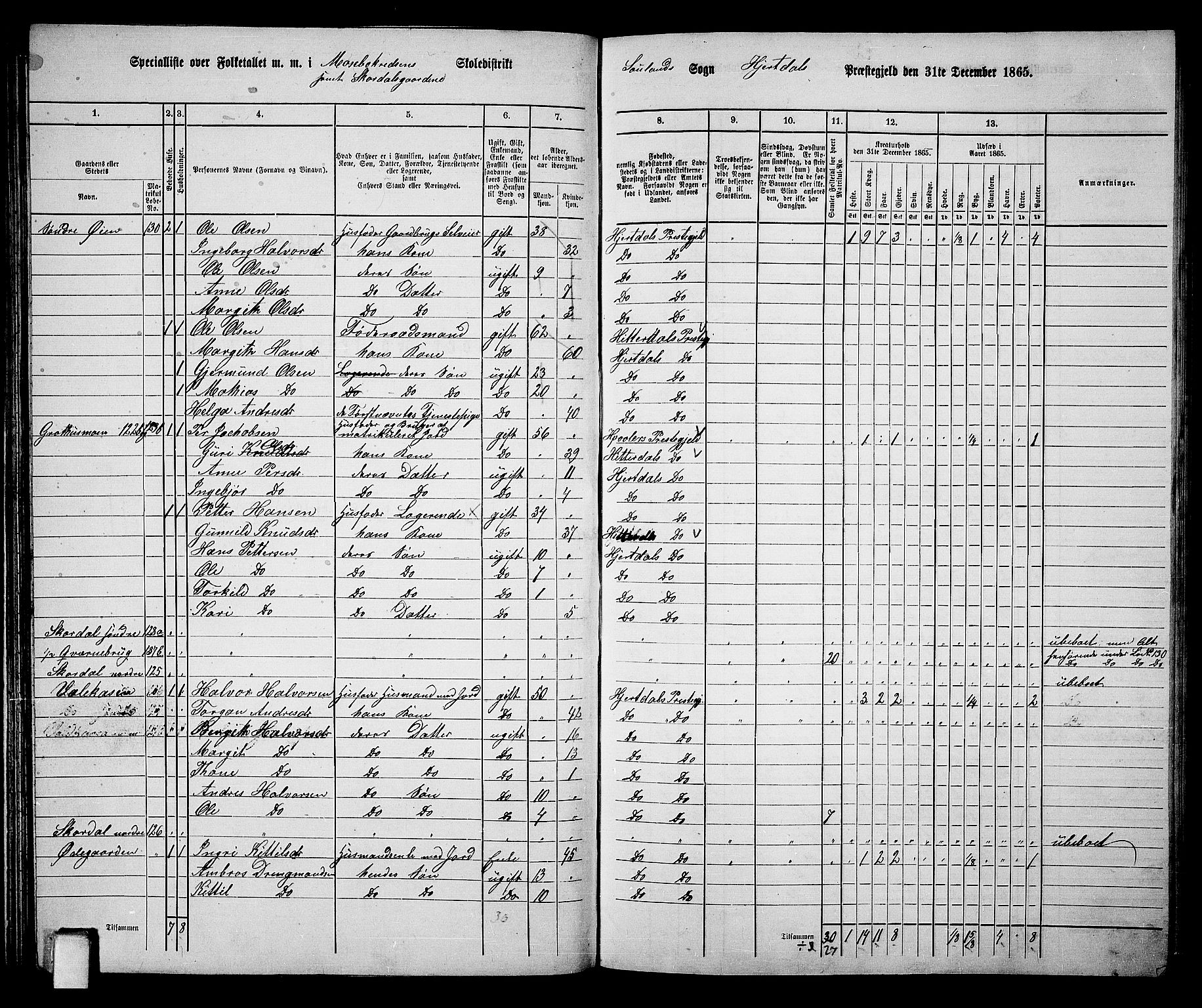 RA, 1865 census for Hjartdal, 1865, p. 63