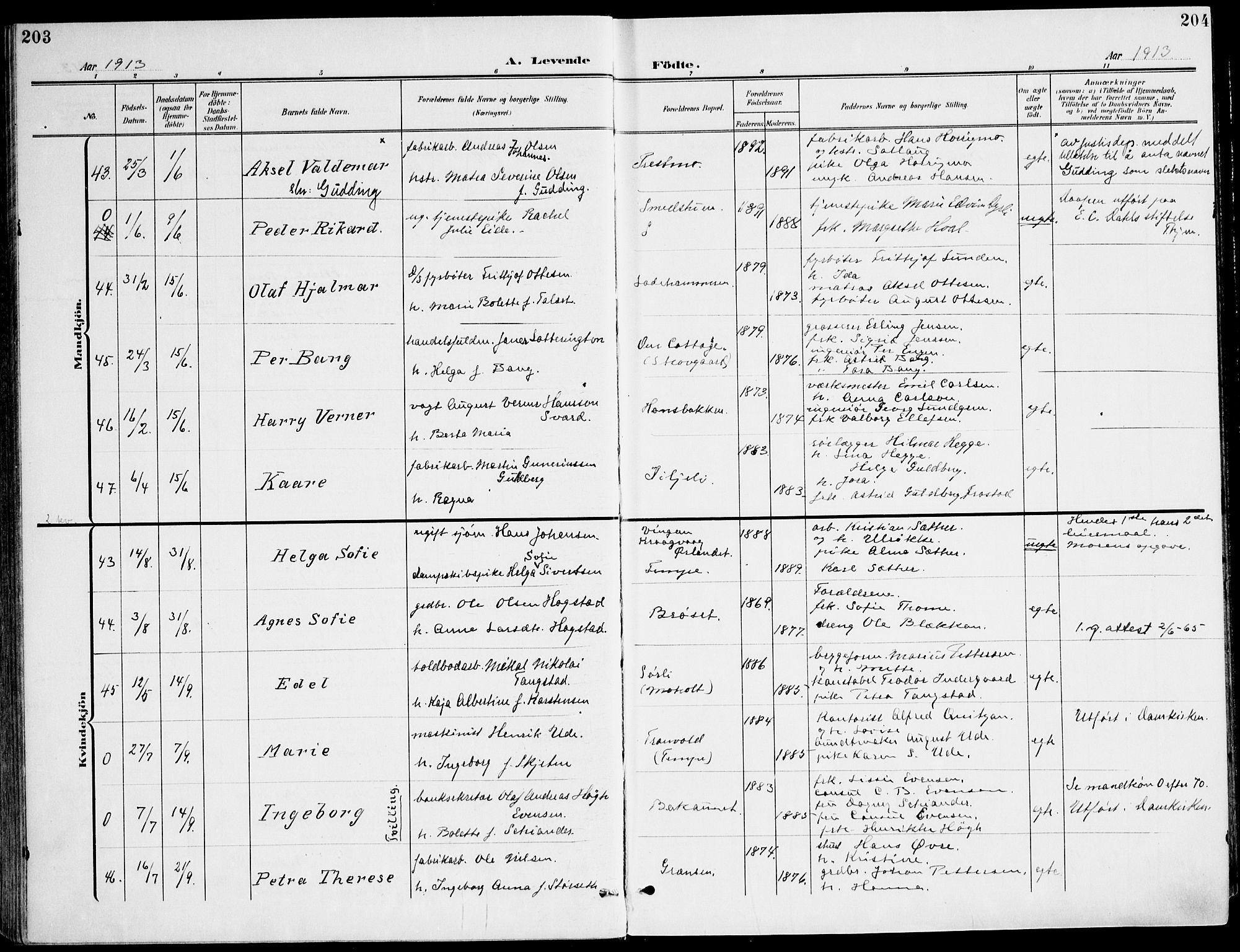 Ministerialprotokoller, klokkerbøker og fødselsregistre - Sør-Trøndelag, SAT/A-1456/607/L0320: Parish register (official) no. 607A04, 1907-1915, p. 203-204