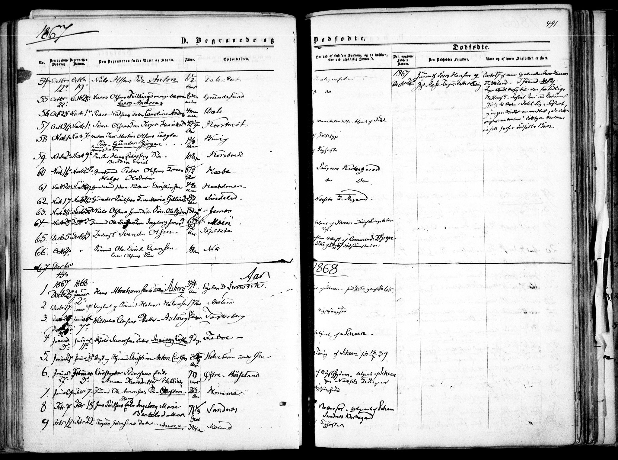 Søndeled sokneprestkontor, SAK/1111-0038/F/Fa/L0003: Parish register (official) no. A 3, 1861-1879, p. 491