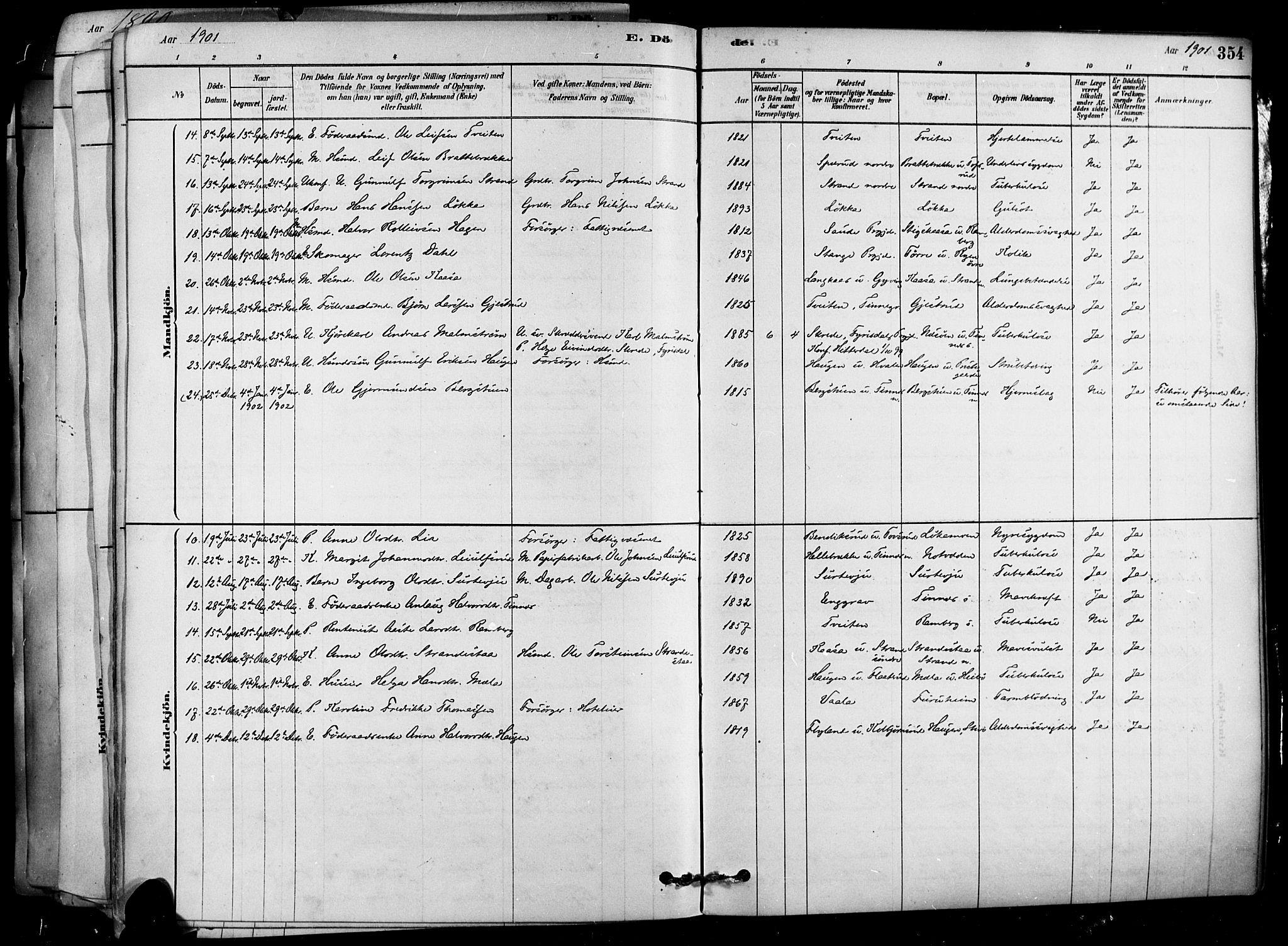 Heddal kirkebøker, AV/SAKO-A-268/F/Fa/L0008: Parish register (official) no. I 8, 1878-1903, p. 354