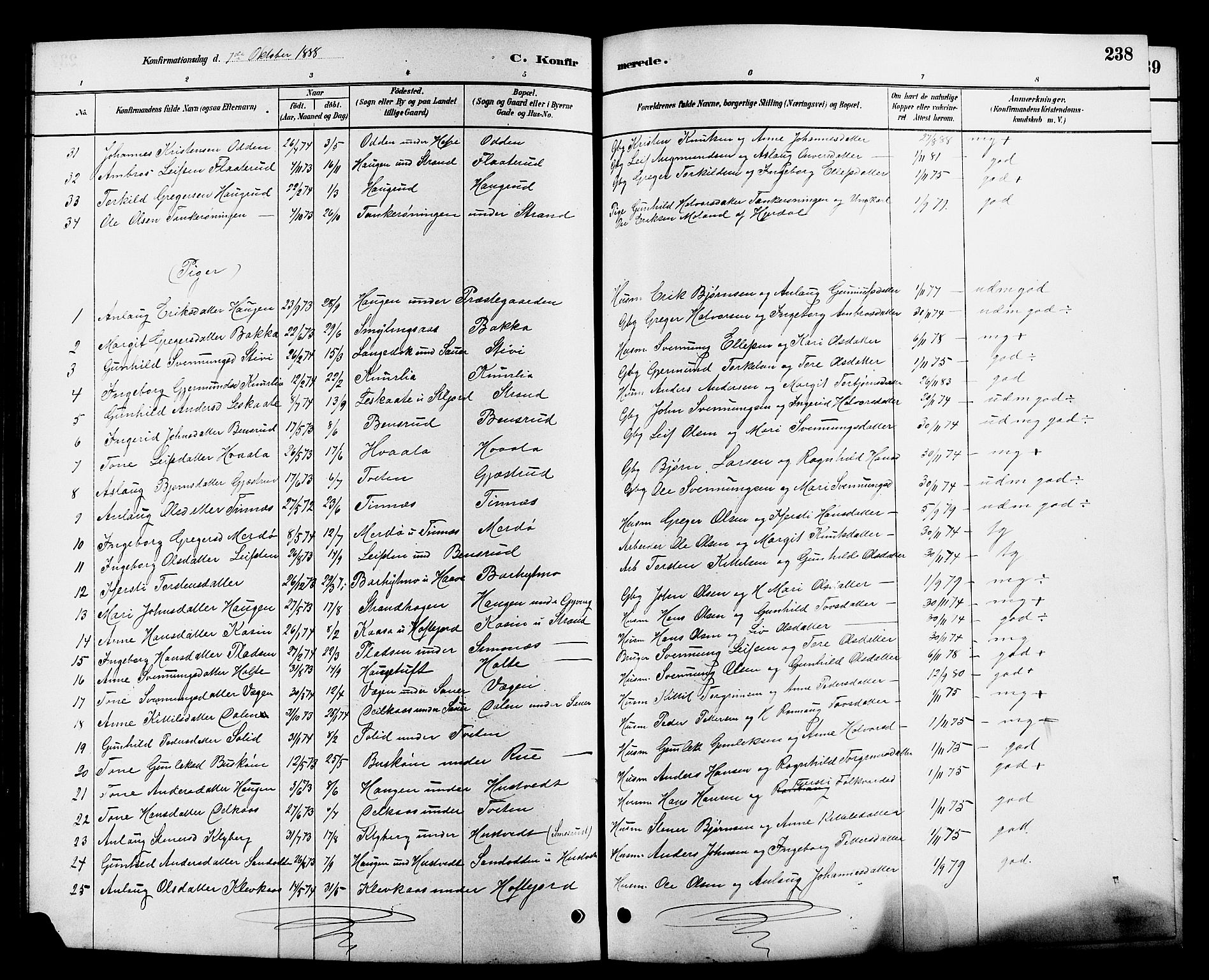 Heddal kirkebøker, SAKO/A-268/G/Ga/L0002: Parish register (copy) no. I 2, 1879-1908, p. 238