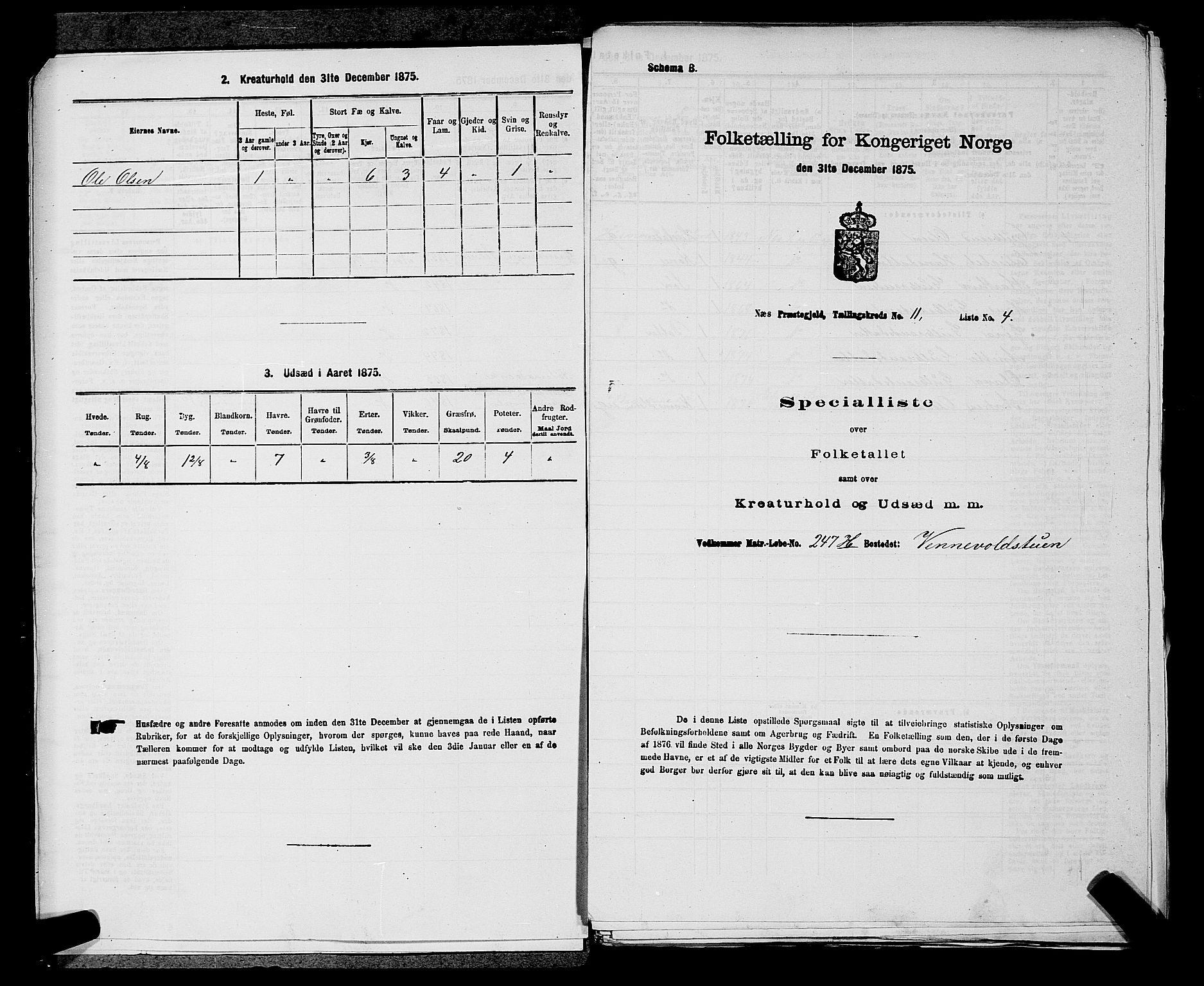 RA, 1875 census for 0236P Nes, 1875, p. 1894