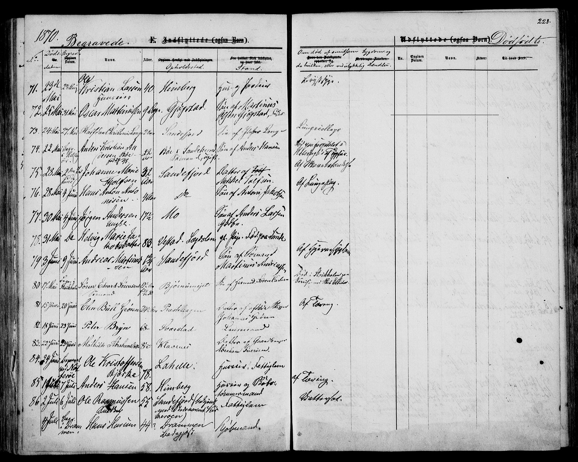 Sandar kirkebøker, AV/SAKO-A-243/F/Fa/L0009: Parish register (official) no. 9, 1862-1871, p. 228