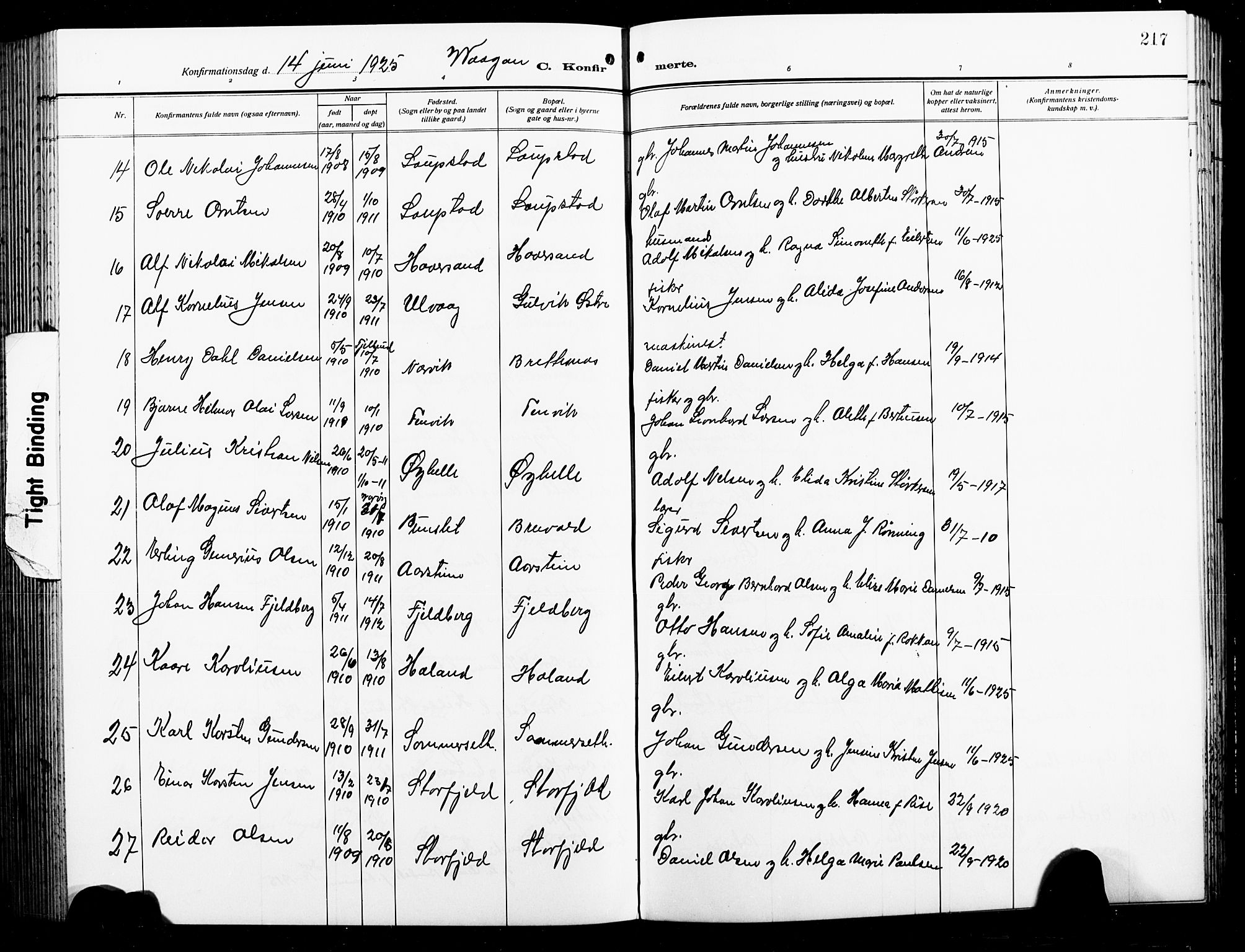 Ministerialprotokoller, klokkerbøker og fødselsregistre - Nordland, AV/SAT-A-1459/874/L1080: Parish register (copy) no. 874C09, 1915-1925, p. 217