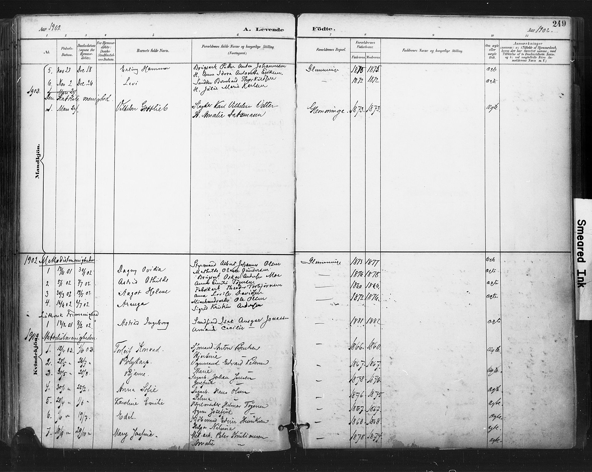 Glemmen prestekontor Kirkebøker, SAO/A-10908/F/Fa/L0013: Parish register (official) no. 13, 1892-1907, p. 249