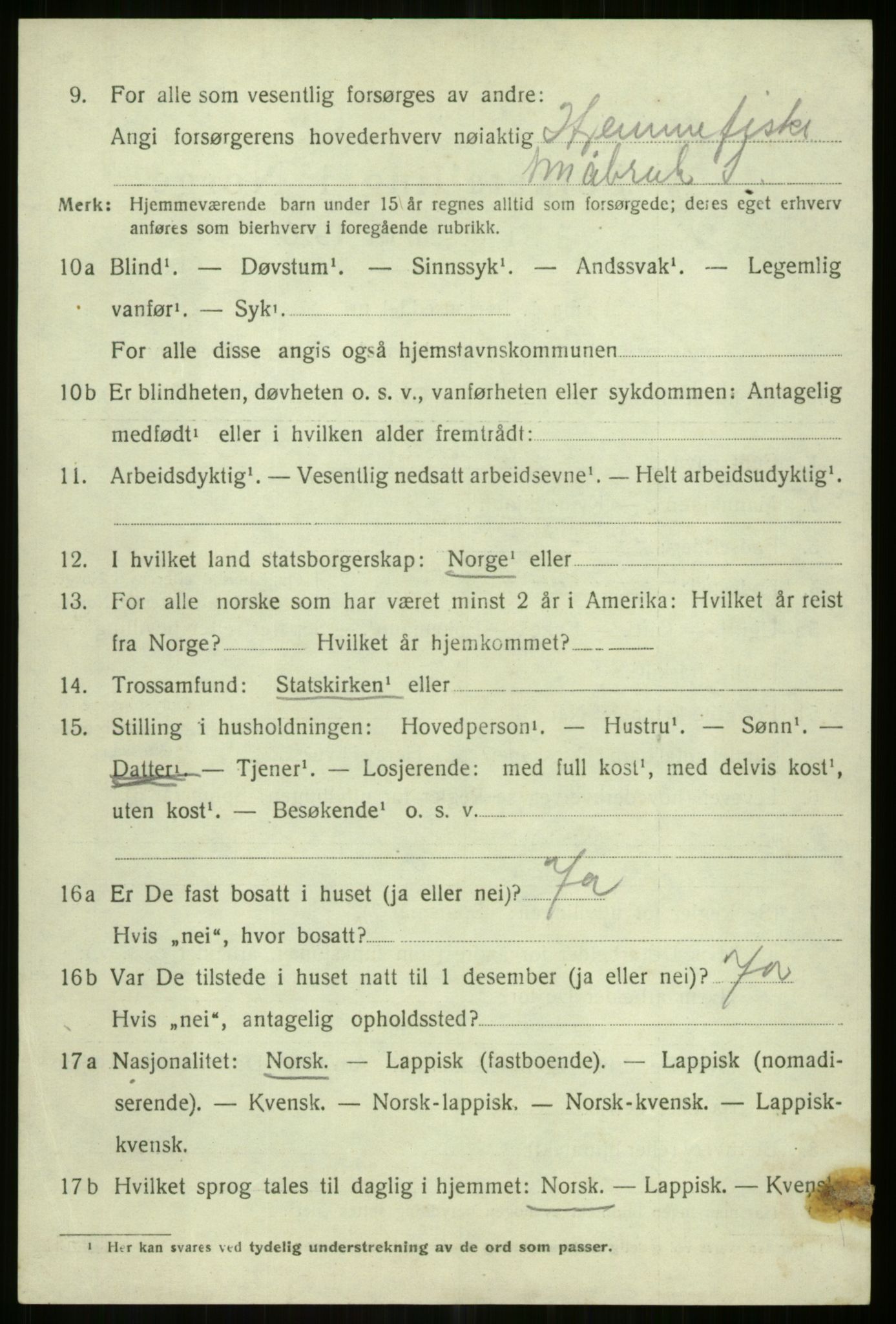 SATØ, 1920 census for Tromsøysund, 1920, p. 13119