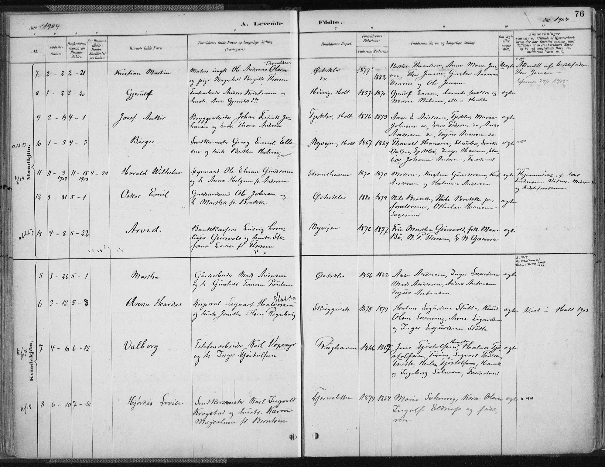 Tvedestrand sokneprestkontor, AV/SAK-1111-0042/F/Fa/L0001: Parish register (official) no. A 1, 1885-1916, p. 76