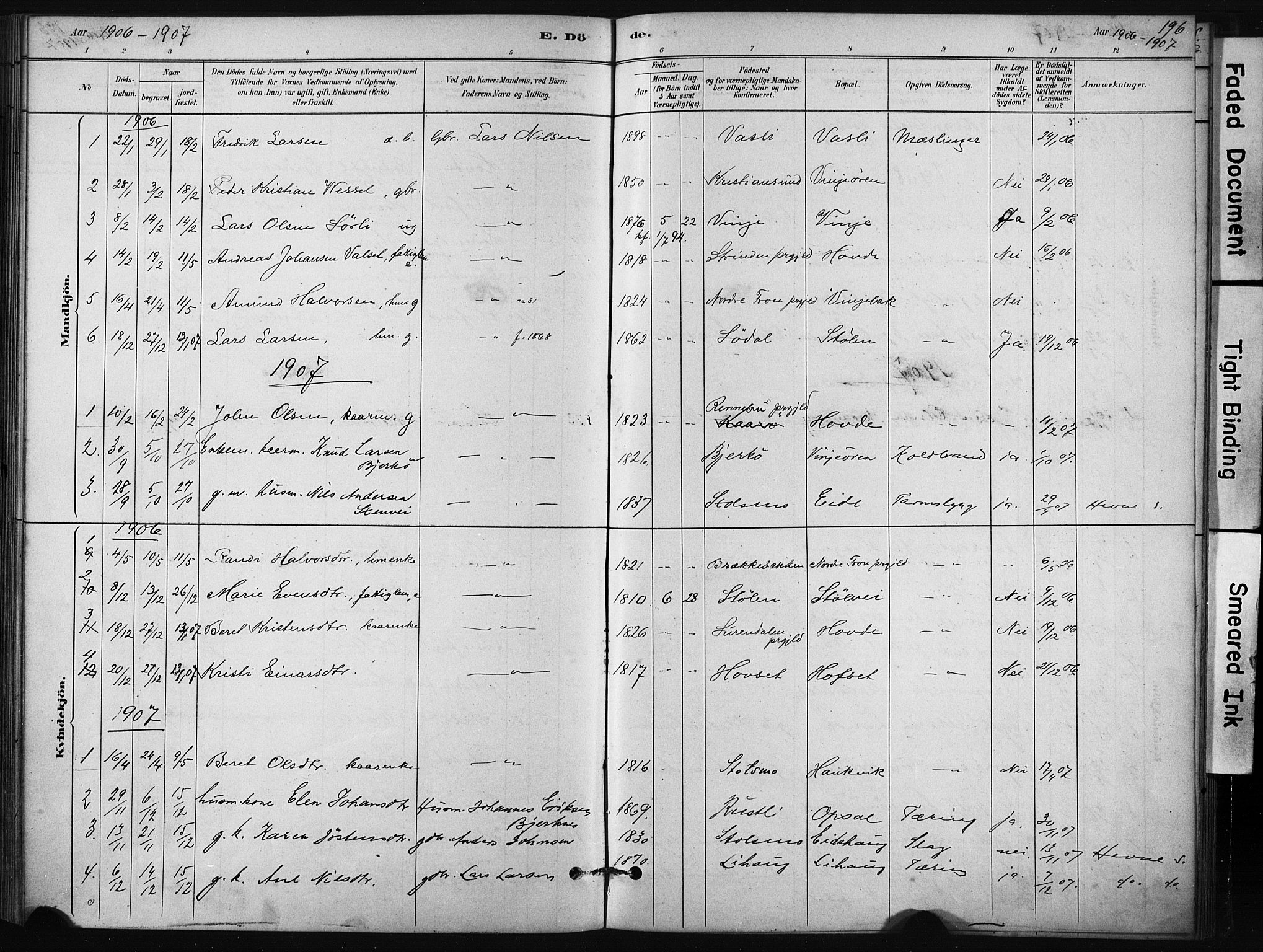 Ministerialprotokoller, klokkerbøker og fødselsregistre - Sør-Trøndelag, AV/SAT-A-1456/631/L0512: Parish register (official) no. 631A01, 1879-1912, p. 196