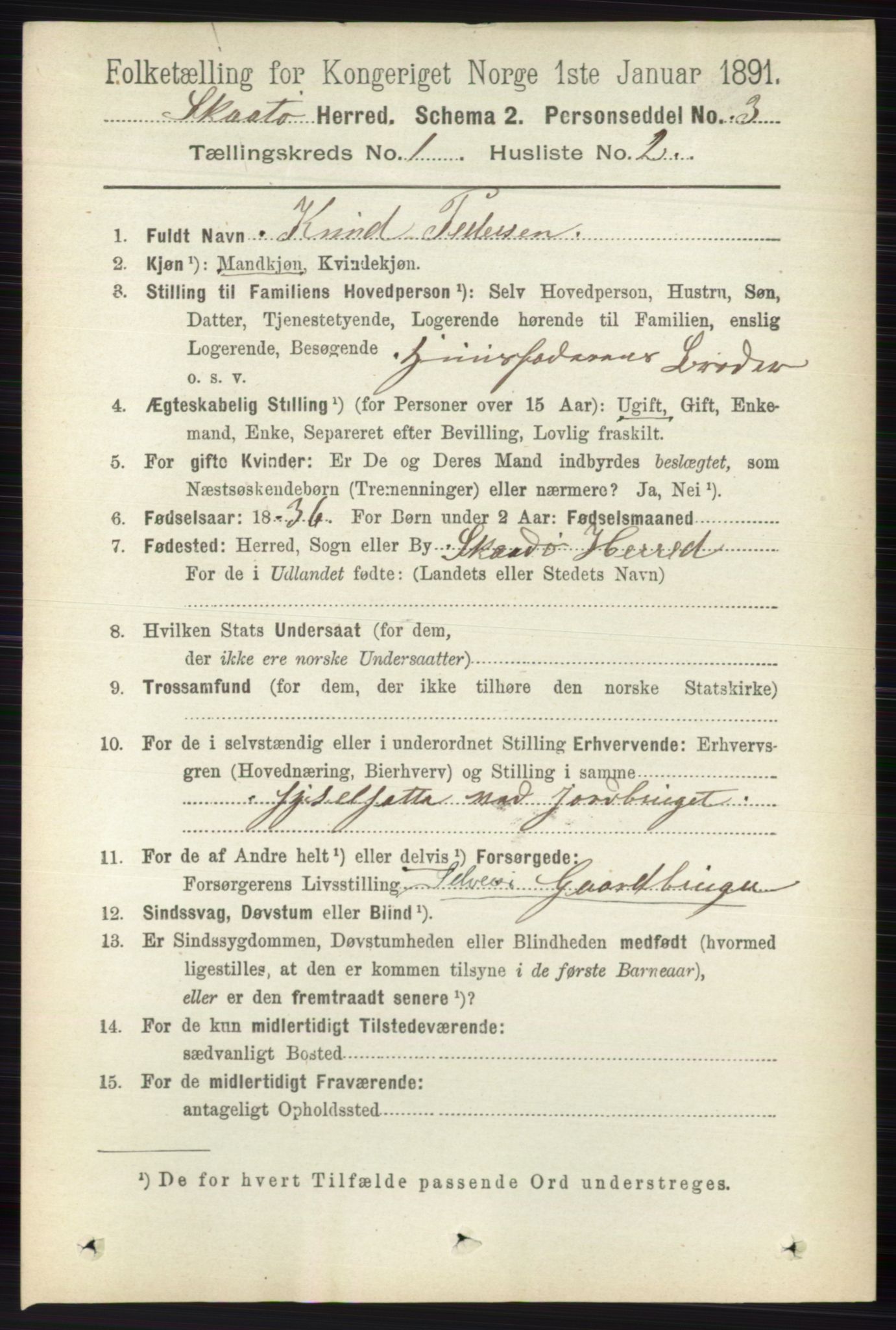 RA, 1891 census for 0815 Skåtøy, 1891, p. 100