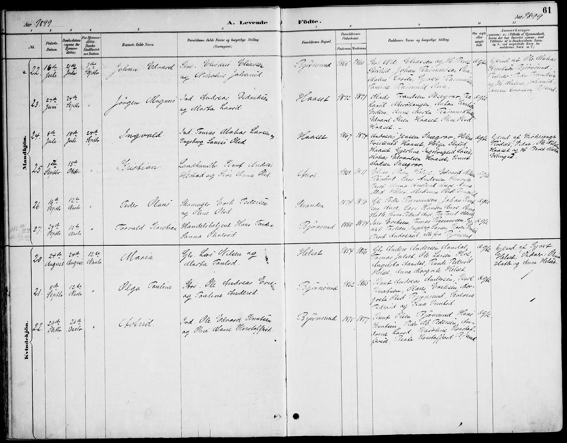 Ministerialprotokoller, klokkerbøker og fødselsregistre - Møre og Romsdal, AV/SAT-A-1454/565/L0750: Parish register (official) no. 565A04, 1887-1905, p. 61