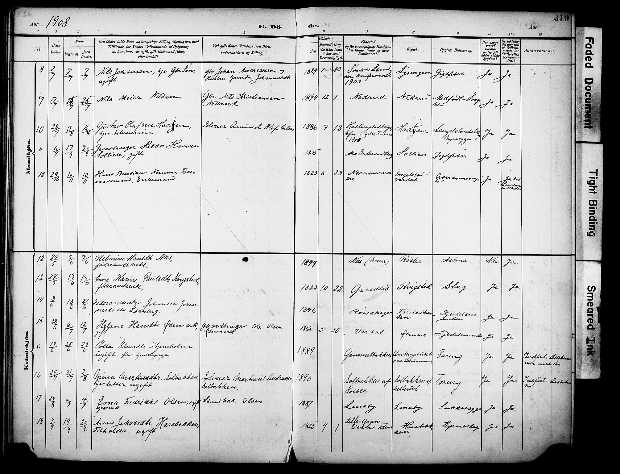 Vestre Toten prestekontor, AV/SAH-PREST-108/H/Ha/Haa/L0013: Parish register (official) no. 13, 1895-1911, p. 319