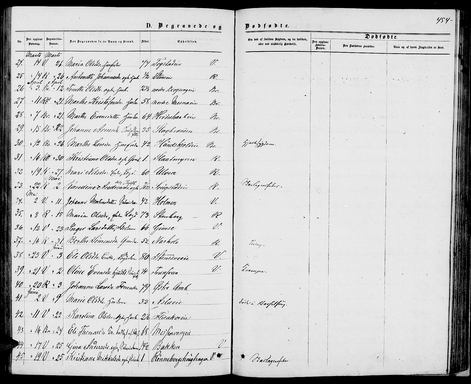 Ringsaker prestekontor, AV/SAH-PREST-014/L/La/L0008: Parish register (copy) no. 8, 1870-1878, p. 454