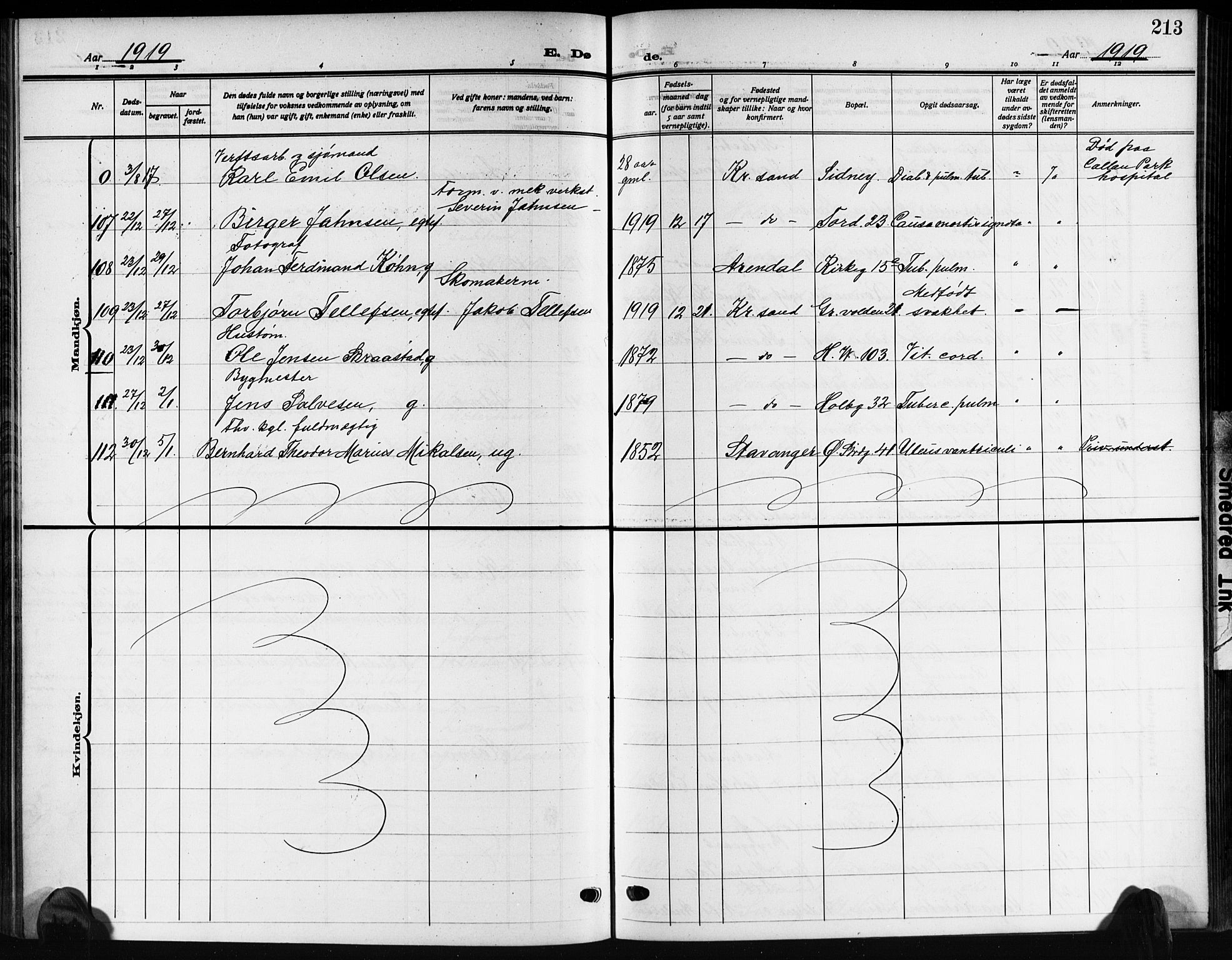 Kristiansand domprosti, AV/SAK-1112-0006/F/Fb/L0022: Parish register (copy) no. B 22, 1915-1925, p. 213