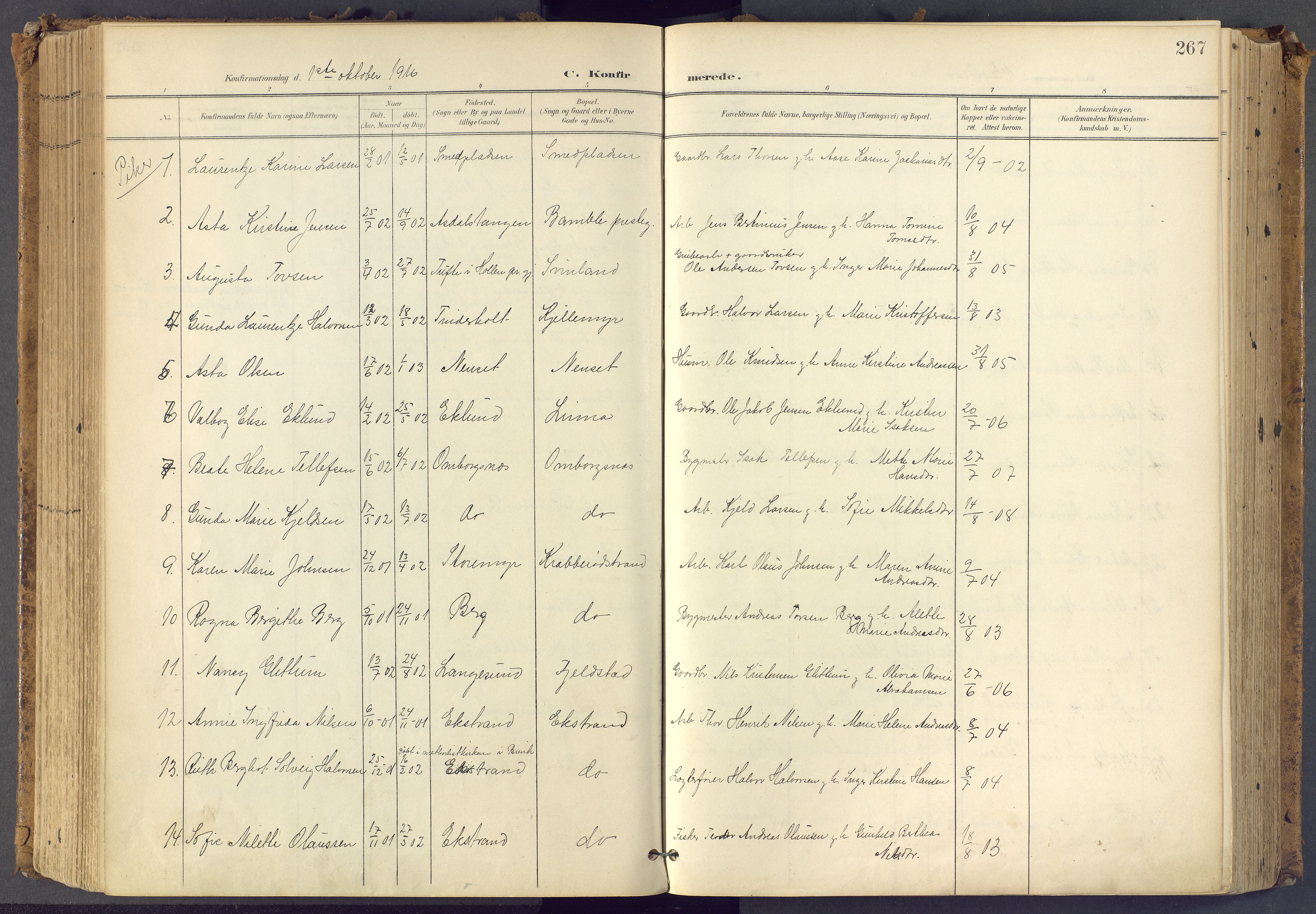 Bamble kirkebøker, SAKO/A-253/F/Fa/L0009: Parish register (official) no. I 9, 1901-1917, p. 267