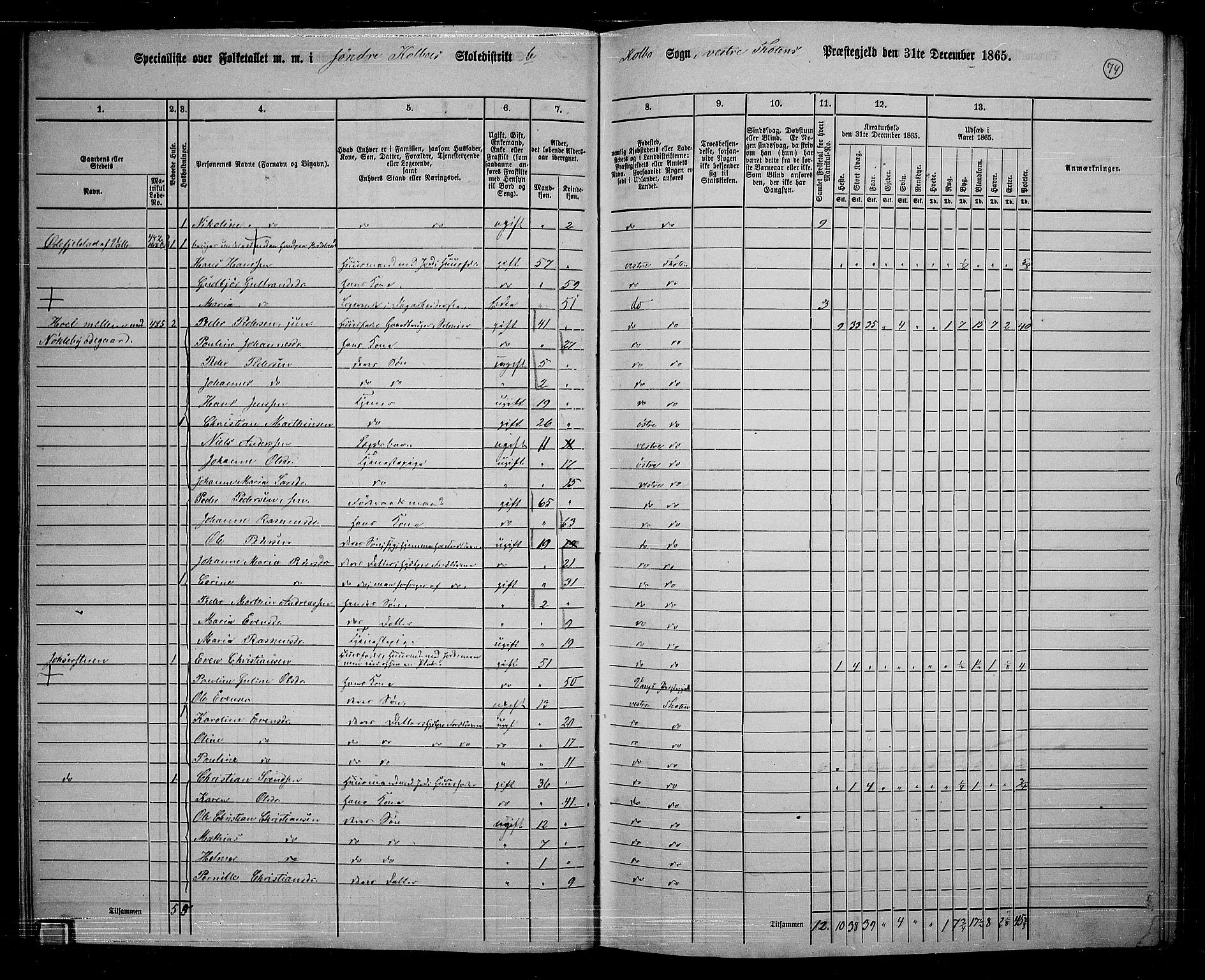 RA, 1865 census for Vestre Toten, 1865, p. 228