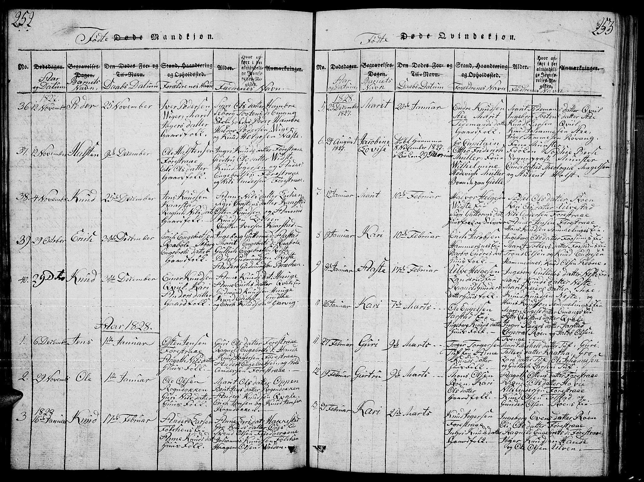 Slidre prestekontor, SAH/PREST-134/H/Ha/Hab/L0001: Parish register (copy) no. 1, 1814-1838, p. 252-253