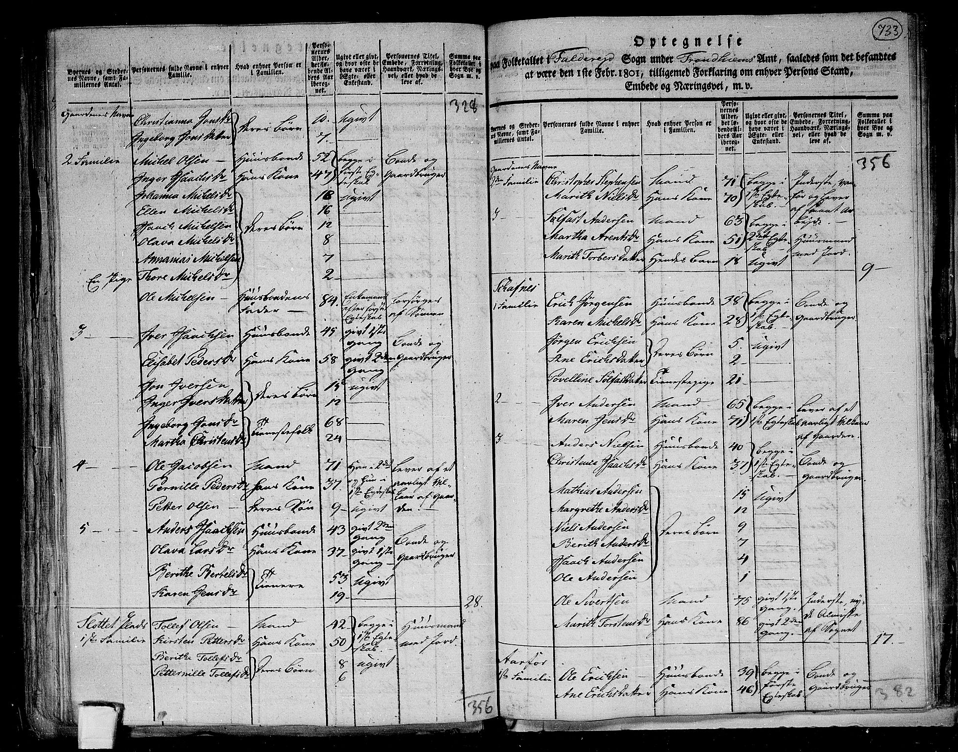 RA, 1801 census for 1752P Kolvereid, 1801, p. 732b-733a