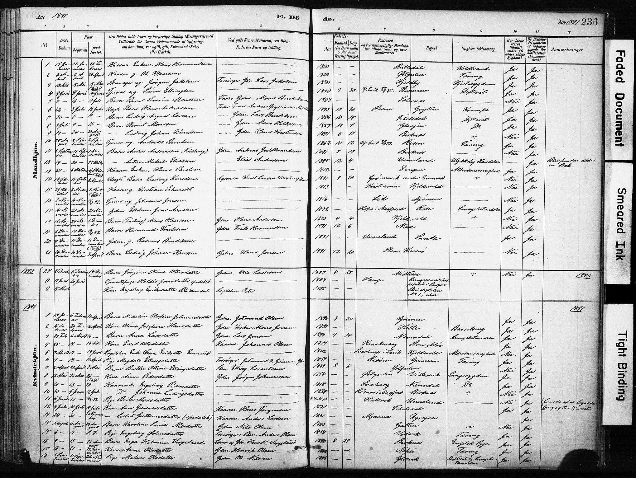 Gulen sokneprestembete, SAB/A-80201/H/Haa/Haab/L0001: Parish register (official) no. B 1, 1881-1905, p. 236