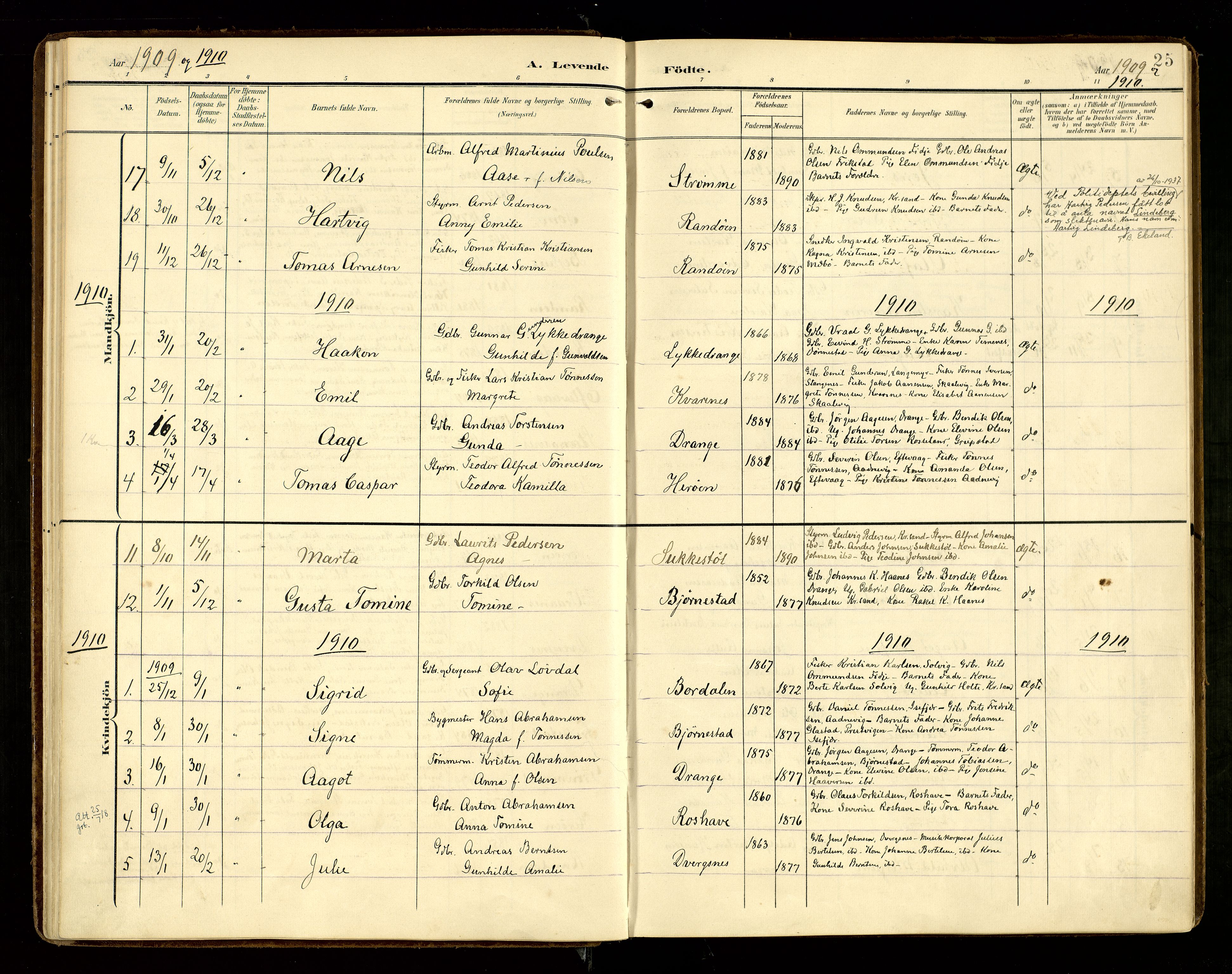 Oddernes sokneprestkontor, AV/SAK-1111-0033/F/Fa/Fab/L0003: Parish register (official) no. A 3, 1903-1916, p. 25