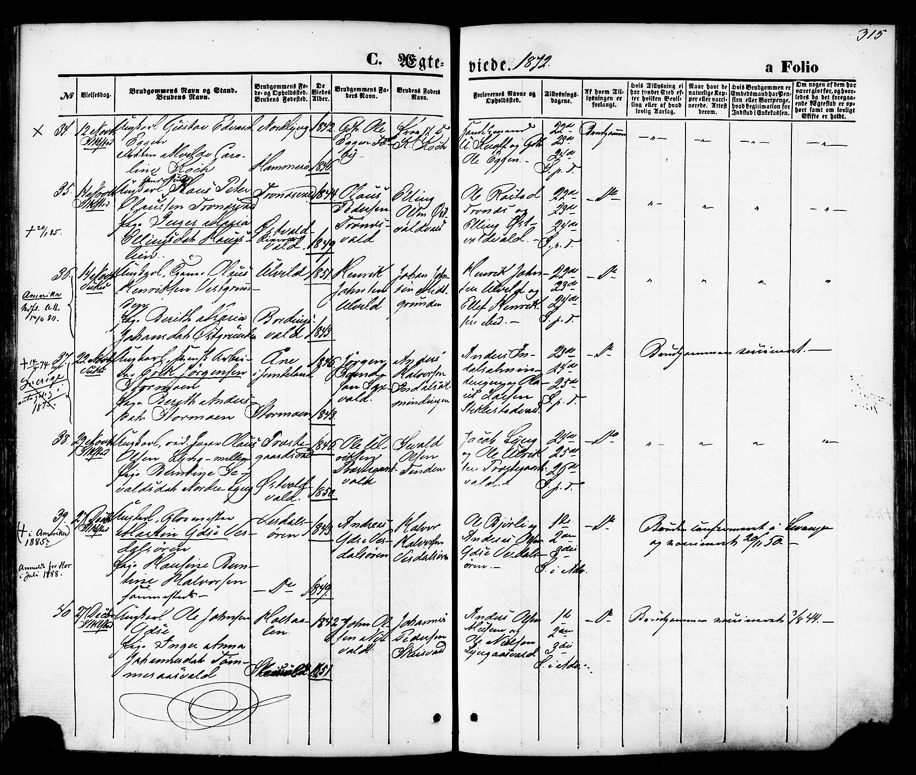 Ministerialprotokoller, klokkerbøker og fødselsregistre - Nord-Trøndelag, AV/SAT-A-1458/723/L0242: Parish register (official) no. 723A11, 1870-1880, p. 315