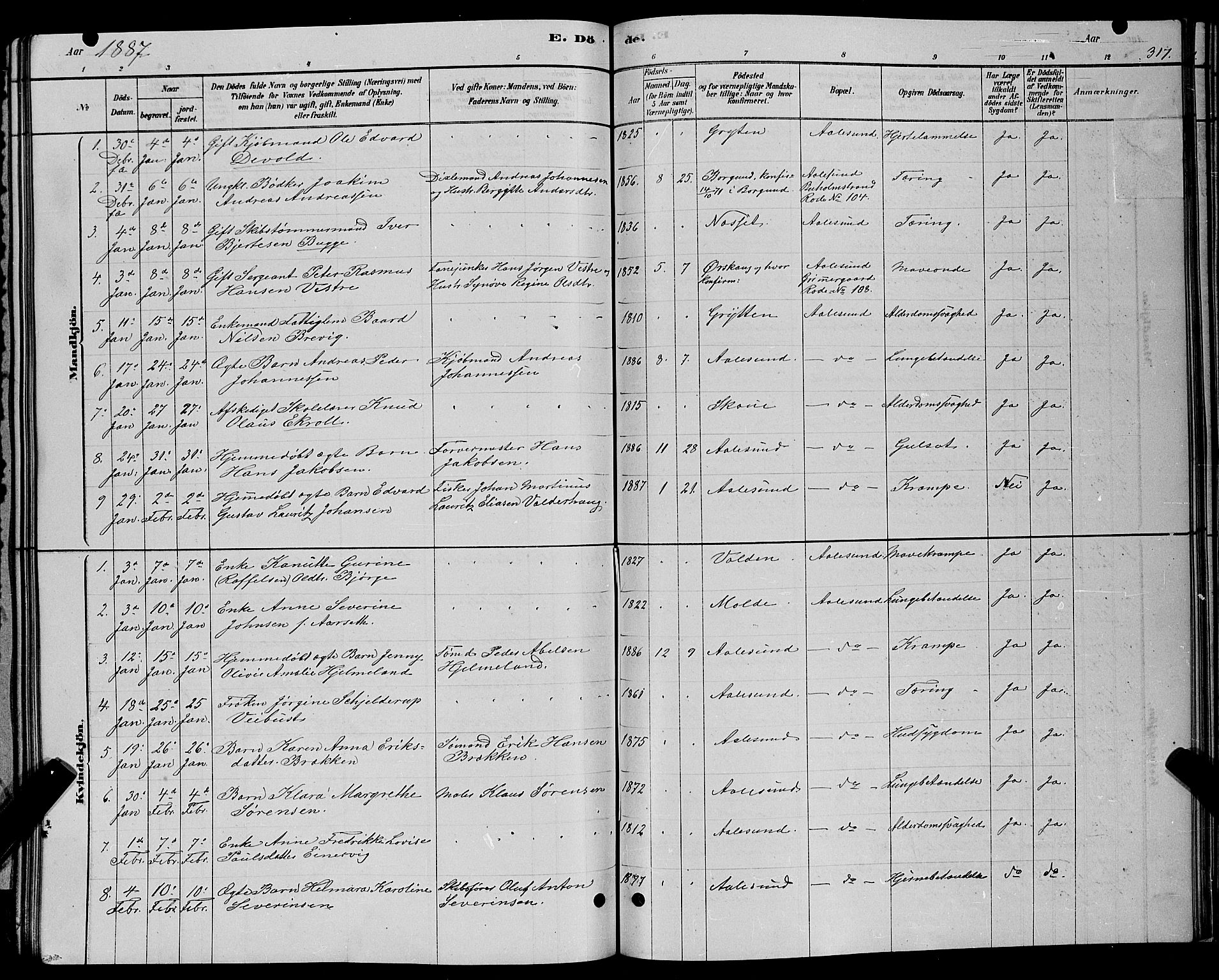 Ministerialprotokoller, klokkerbøker og fødselsregistre - Møre og Romsdal, SAT/A-1454/529/L0466: Parish register (copy) no. 529C03, 1878-1888, p. 317