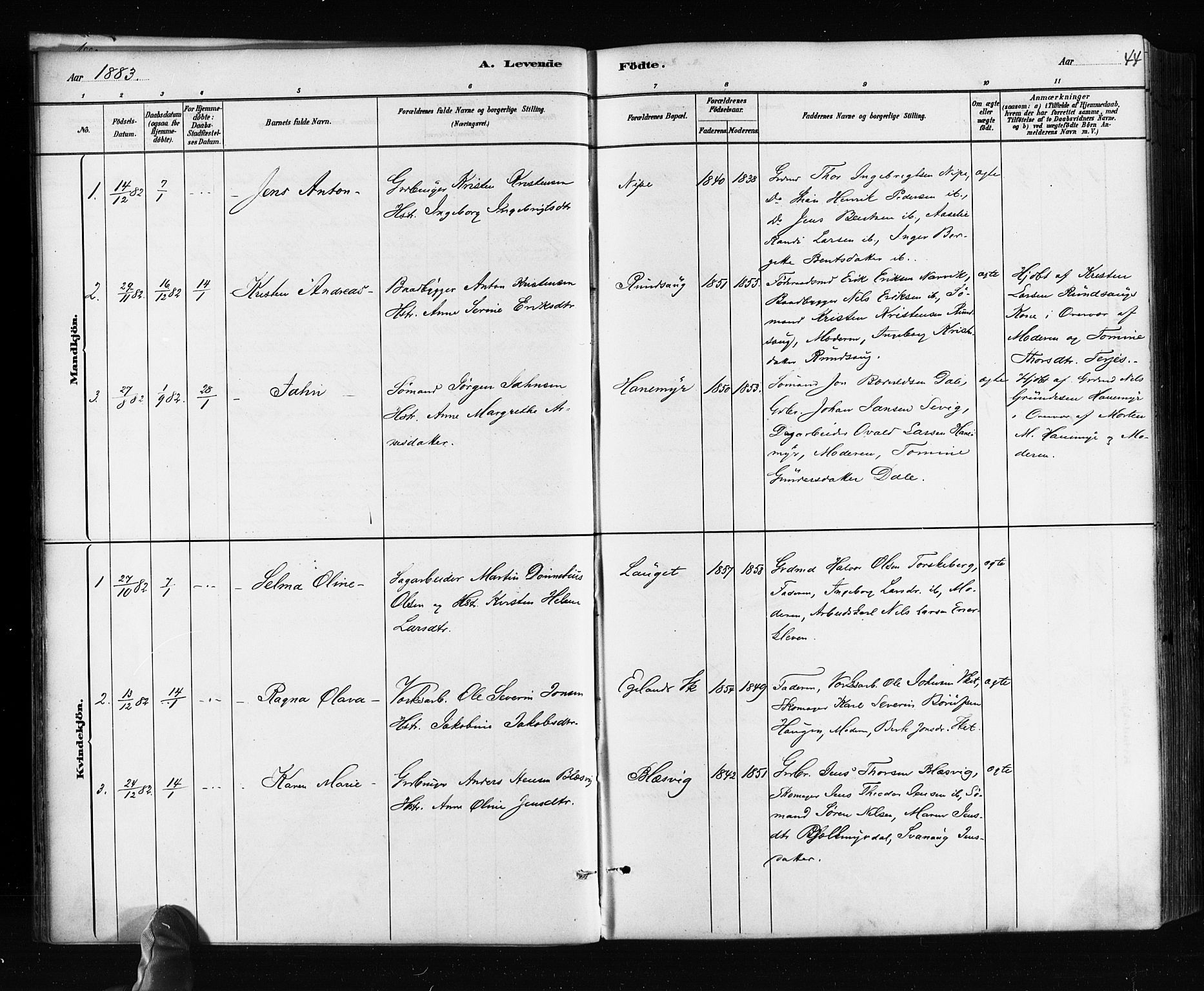 Søndeled sokneprestkontor, SAK/1111-0038/F/Fa/L0004: Parish register (official) no. A 4, 1880-1889, p. 44