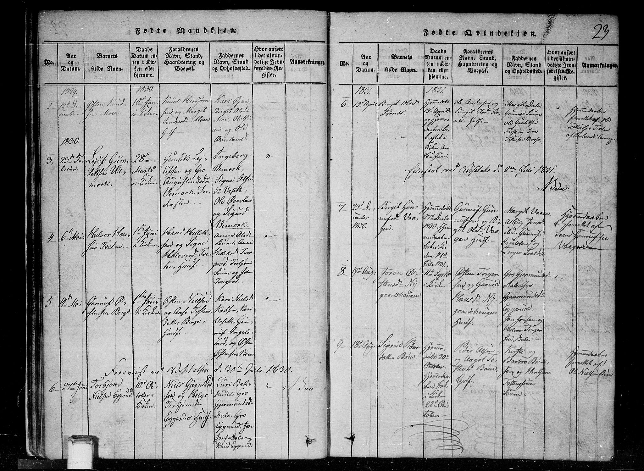 Tinn kirkebøker, SAKO/A-308/G/Gc/L0001: Parish register (copy) no. III 1, 1815-1879, p. 23
