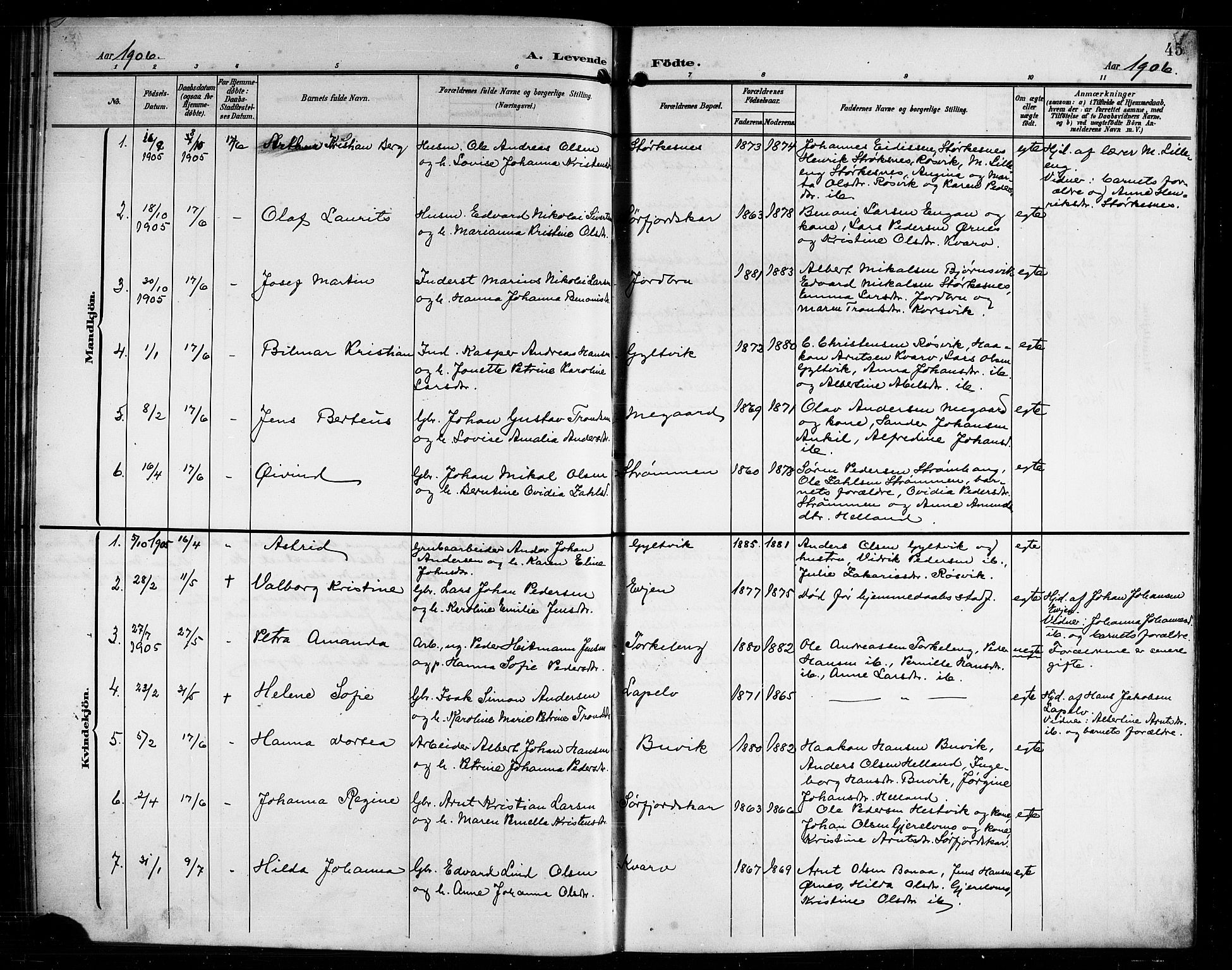 Ministerialprotokoller, klokkerbøker og fødselsregistre - Nordland, AV/SAT-A-1459/854/L0786: Parish register (copy) no. 854C02, 1901-1912, p. 45