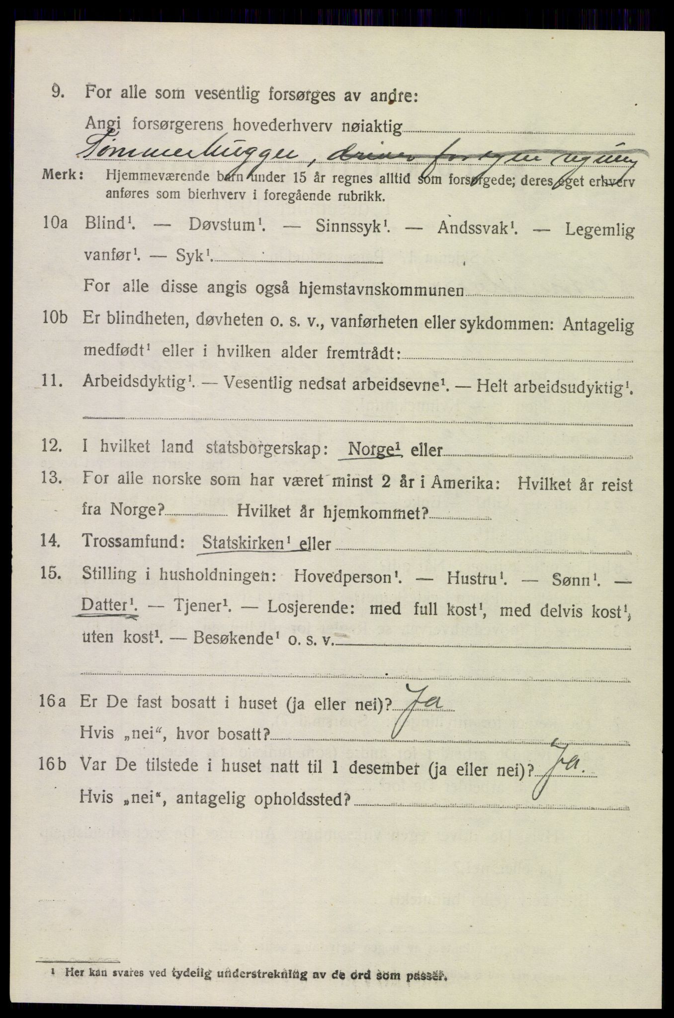 SAH, 1920 census for Vestre Slidre, 1920, p. 5059