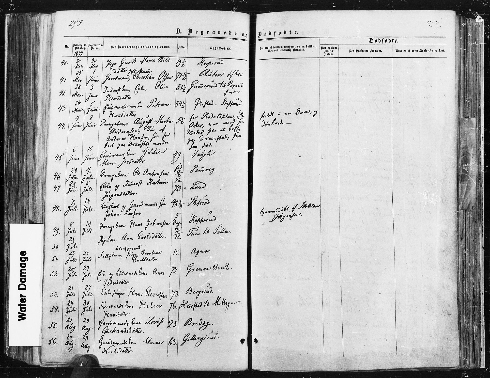 Trøgstad prestekontor Kirkebøker, SAO/A-10925/F/Fa/L0009: Parish register (official) no. I 9, 1865-1877, p. 293