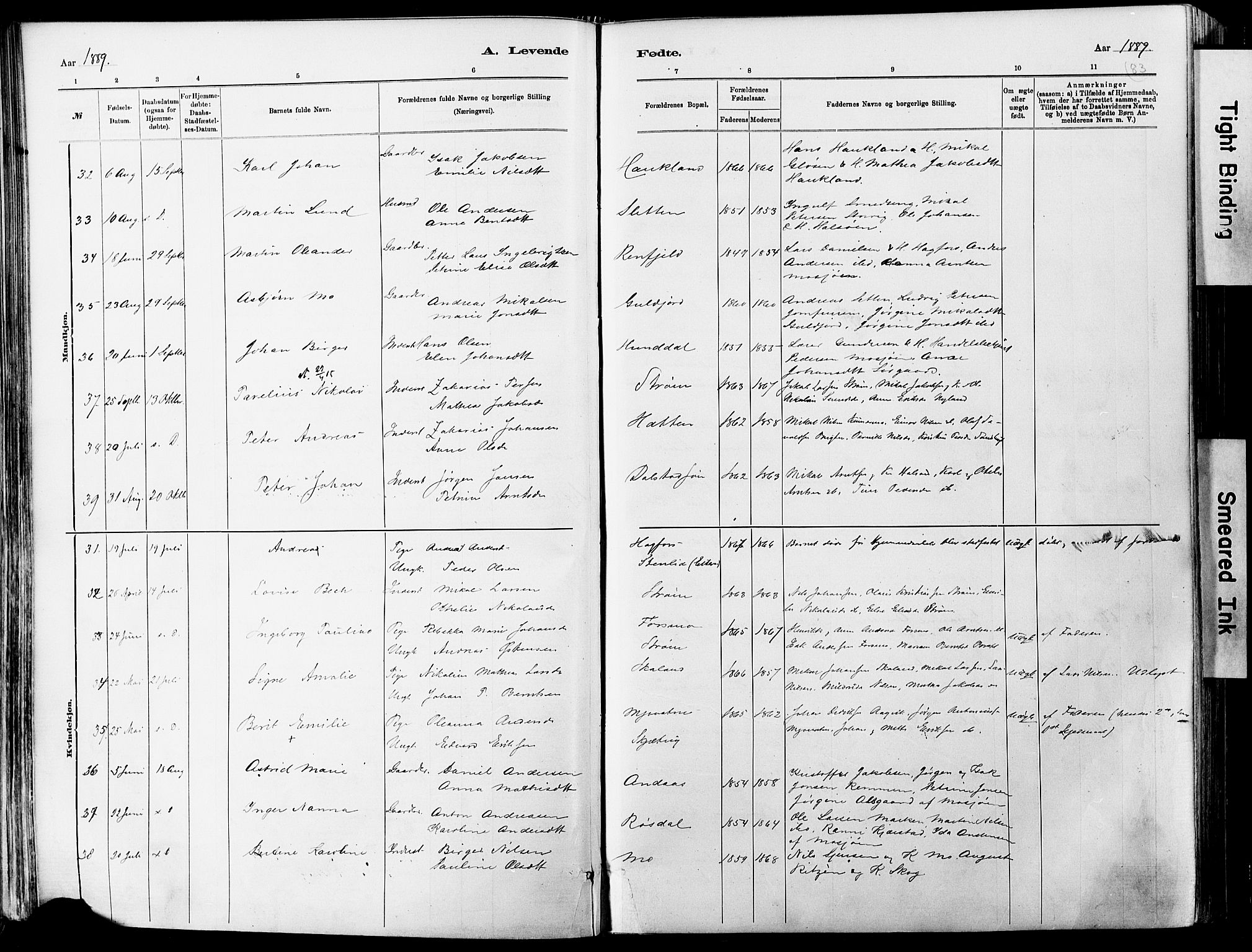 Ministerialprotokoller, klokkerbøker og fødselsregistre - Nordland, AV/SAT-A-1459/820/L0295: Parish register (official) no. 820A16, 1880-1896, p. 83