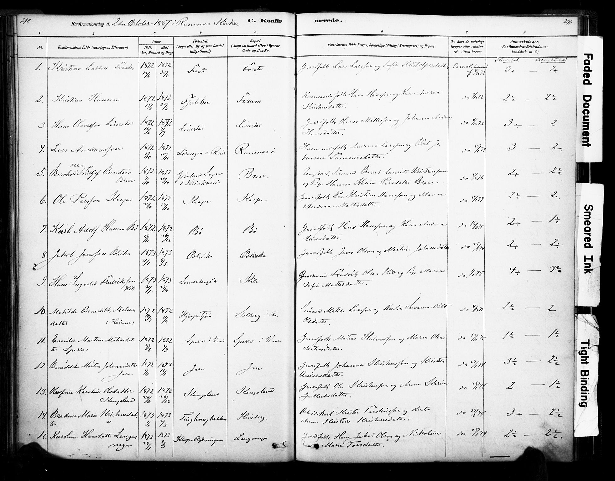 Ramnes kirkebøker, AV/SAKO-A-314/F/Fa/L0007: Parish register (official) no. I 7, 1878-1895, p. 290-291