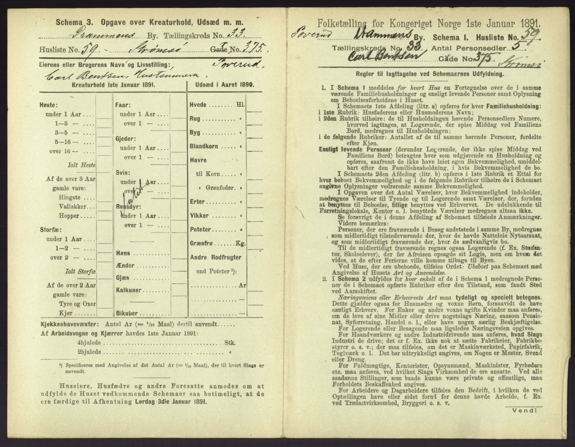 RA, 1891 census for 0602 Drammen, 1891, p. 2987