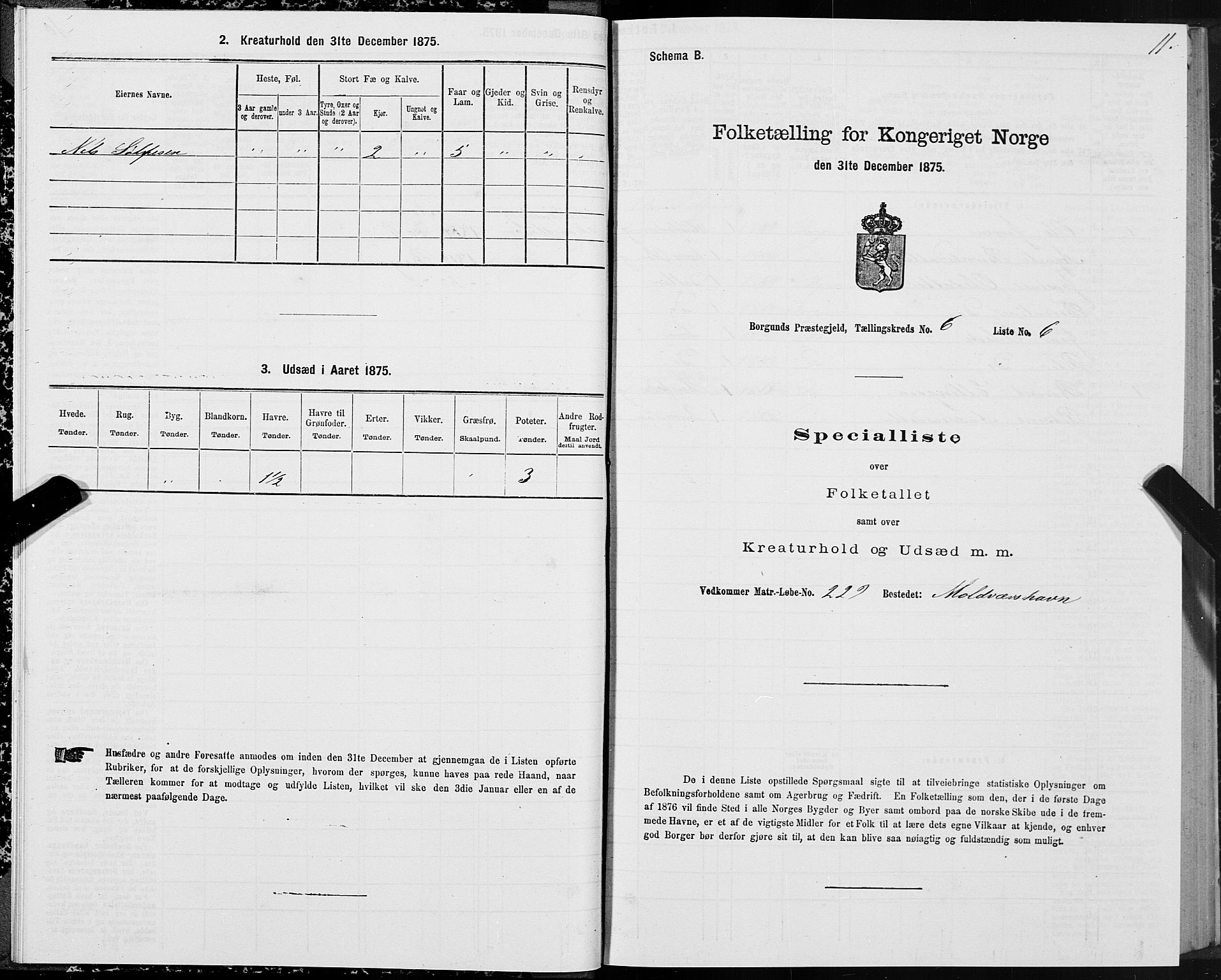 SAT, 1875 census for 1531P Borgund, 1875, p. 4011