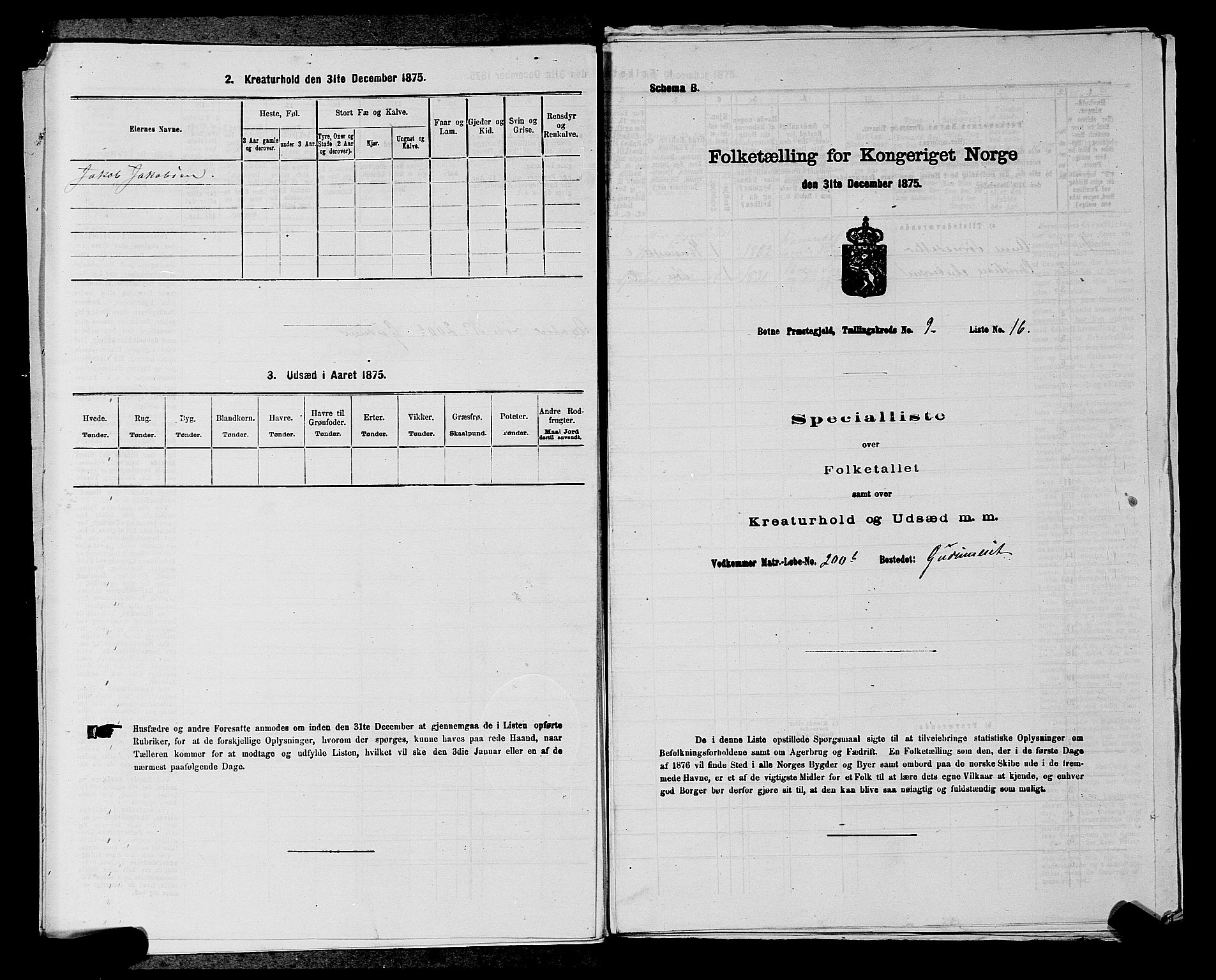 SAKO, 1875 census for 0715P Botne, 1875, p. 717