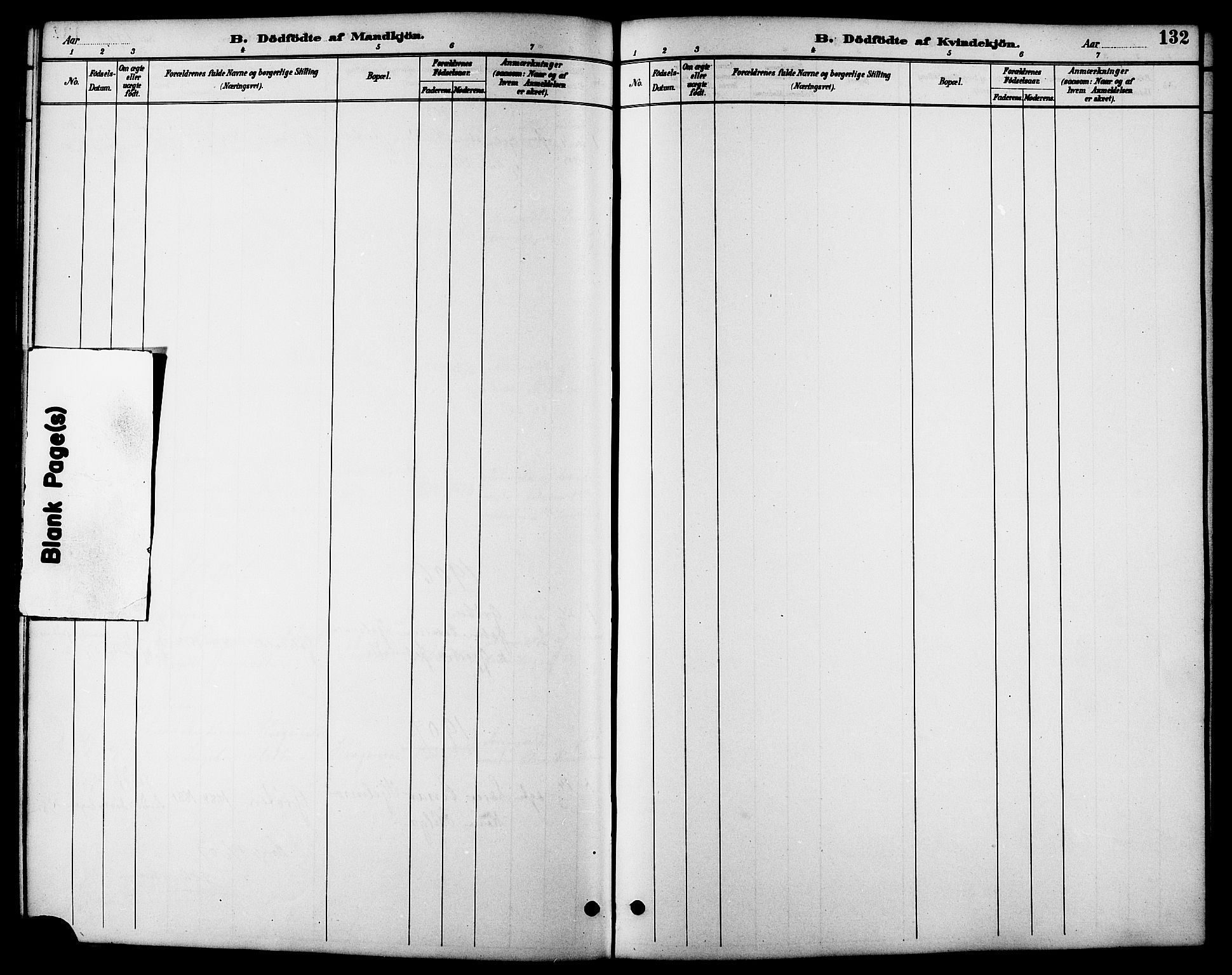 Ministerialprotokoller, klokkerbøker og fødselsregistre - Møre og Romsdal, SAT/A-1454/598/L1078: Parish register (copy) no. 598C03, 1892-1909, p. 132