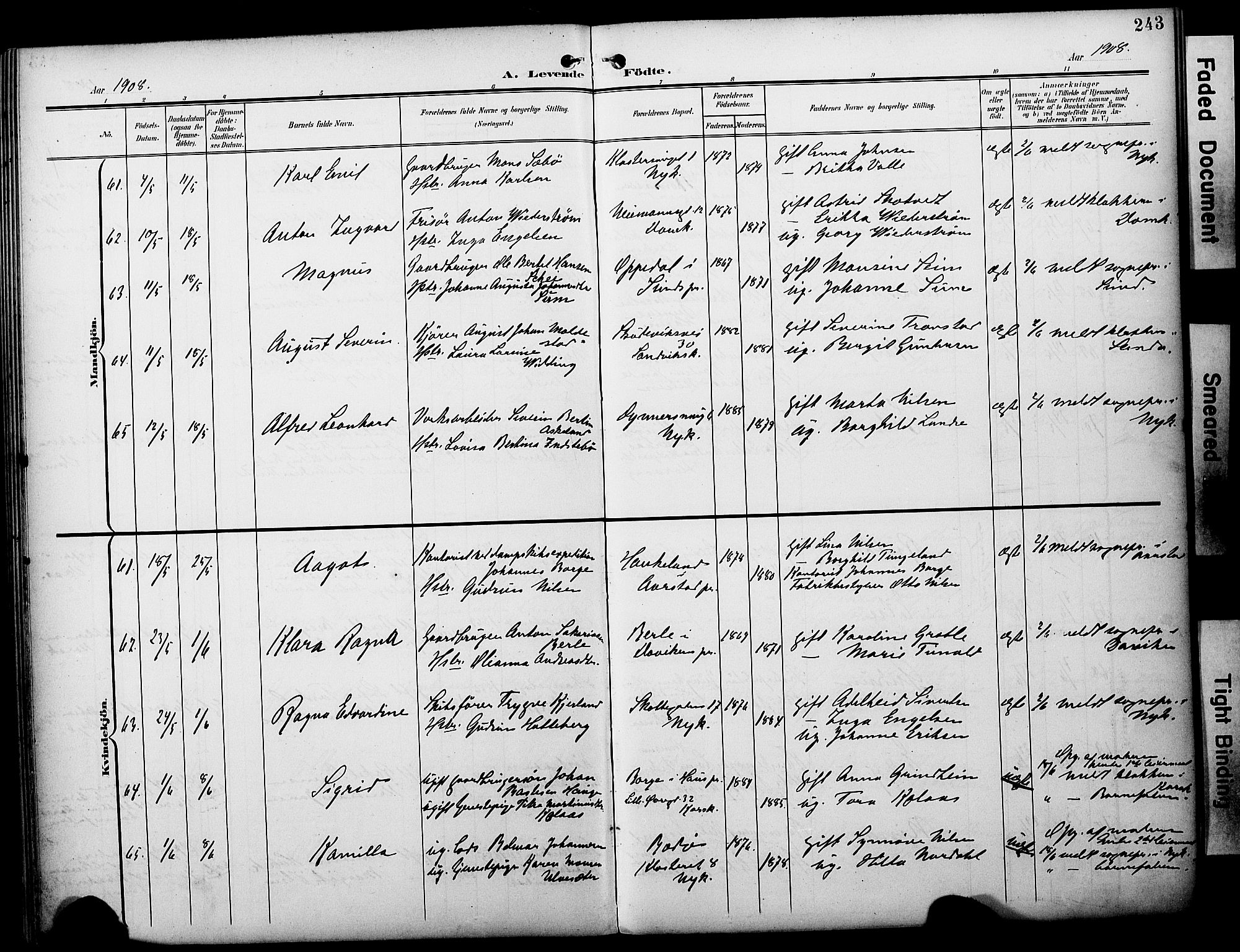 Fødselsstiftelsens sokneprestembete*, SAB/-: Parish register (official) no. A 3, 1901-1910, p. 243