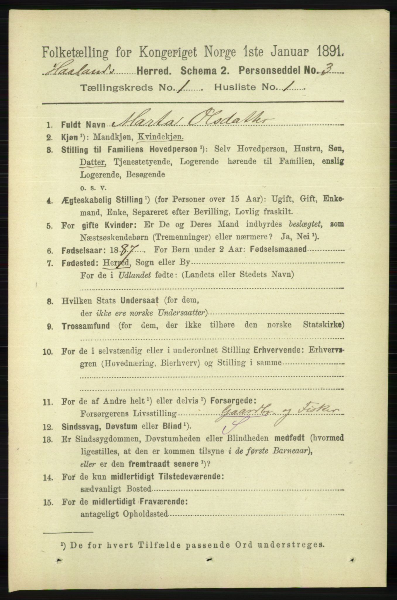 RA, 1891 census for 1124 Haaland, 1891, p. 133