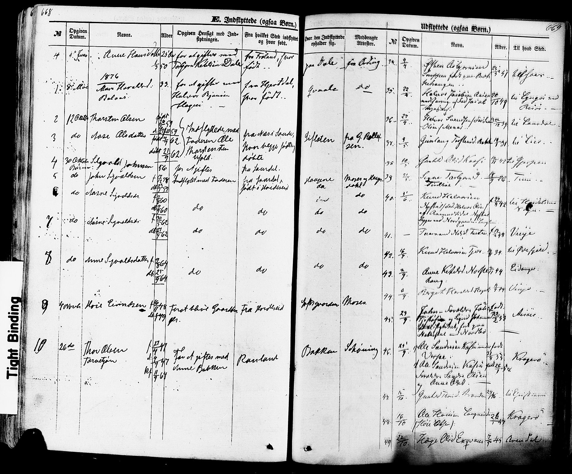 Seljord kirkebøker, AV/SAKO-A-20/F/Fa/L0013: Parish register (official) no. I 13, 1866-1876, p. 668-669