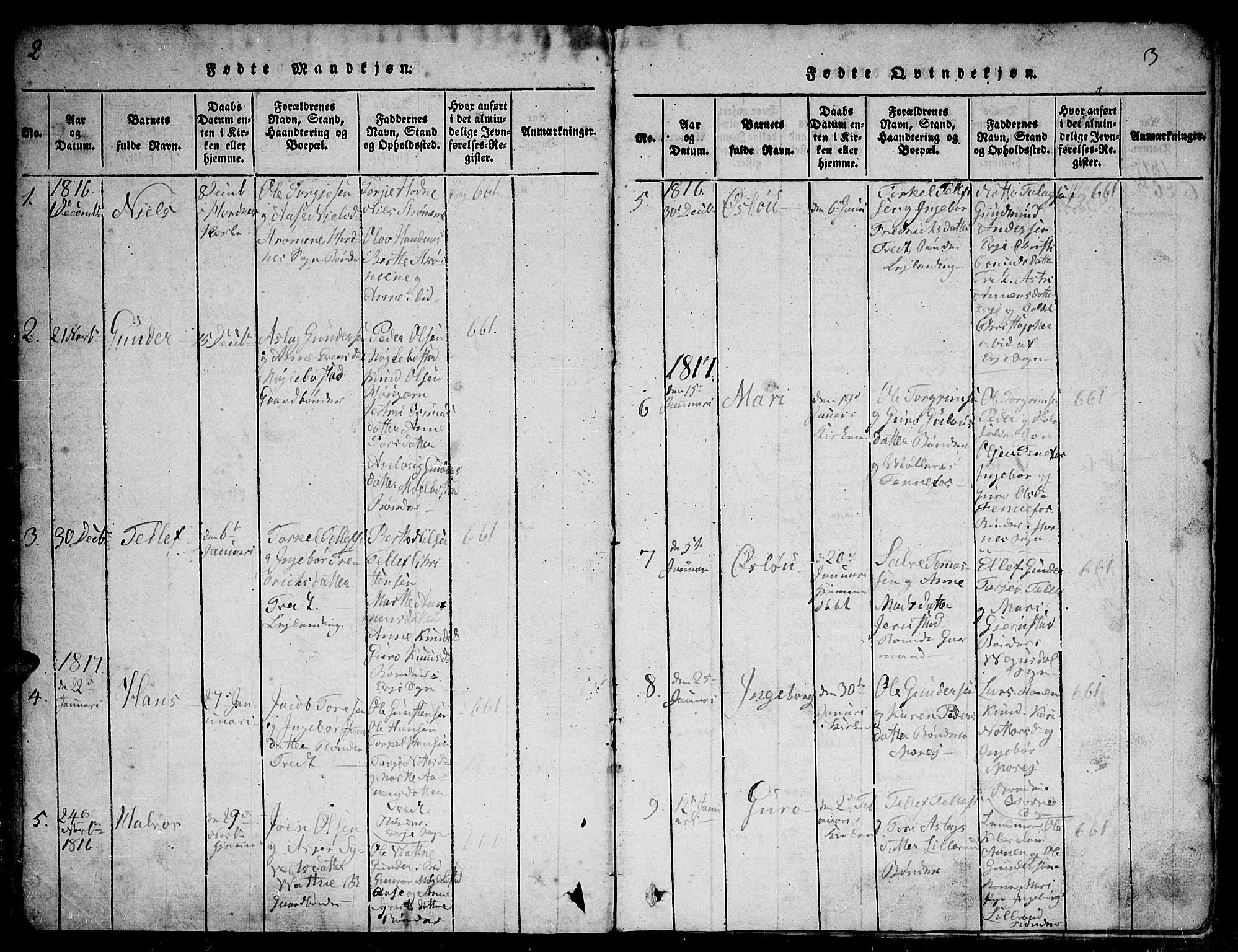 Evje sokneprestkontor, AV/SAK-1111-0008/F/Fb/Fba/L0001: Parish register (copy) no. B 1, 1816-1842, p. 2-3