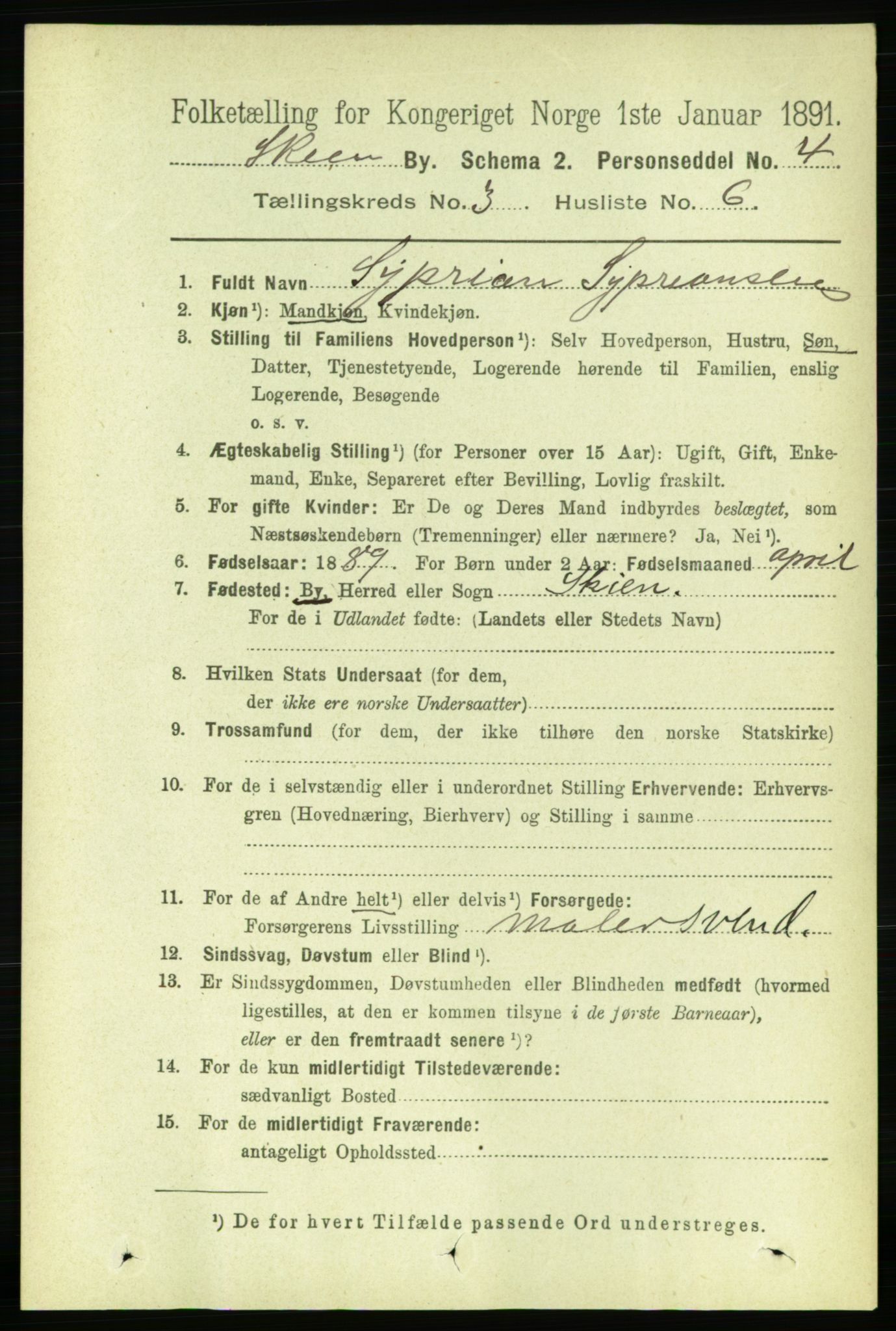 RA, 1891 census for 0806 Skien, 1891, p. 2518