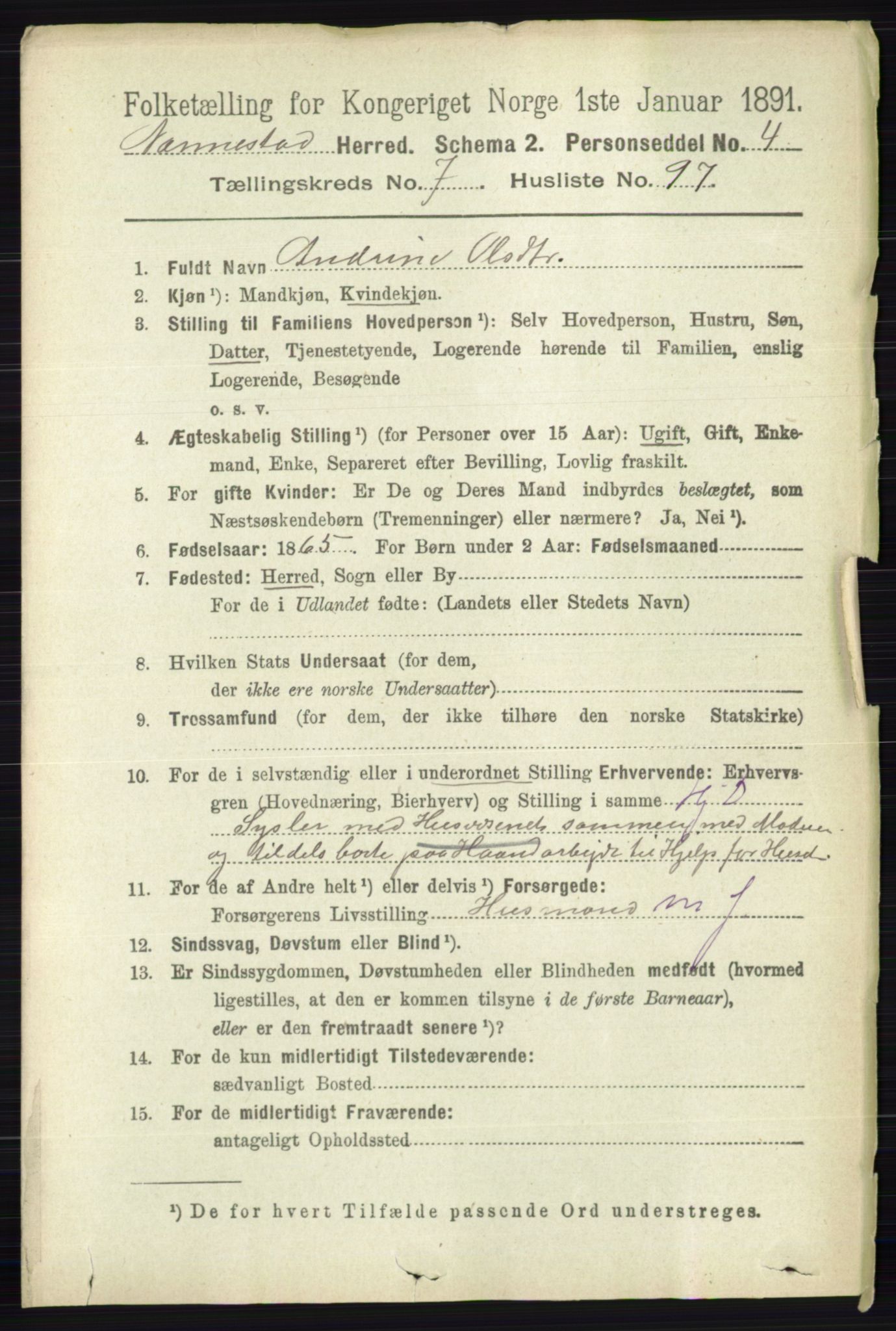 RA, 1891 census for 0238 Nannestad, 1891, p. 4319