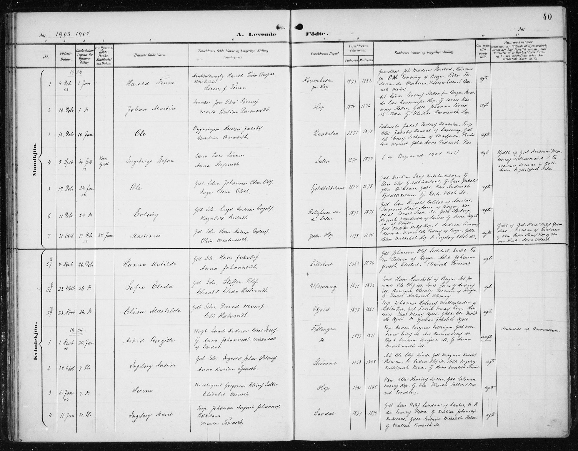 Fana Sokneprestembete, AV/SAB-A-75101/H/Haa/Haai/L0003: Parish register (official) no. I 3, 1900-1912, p. 40